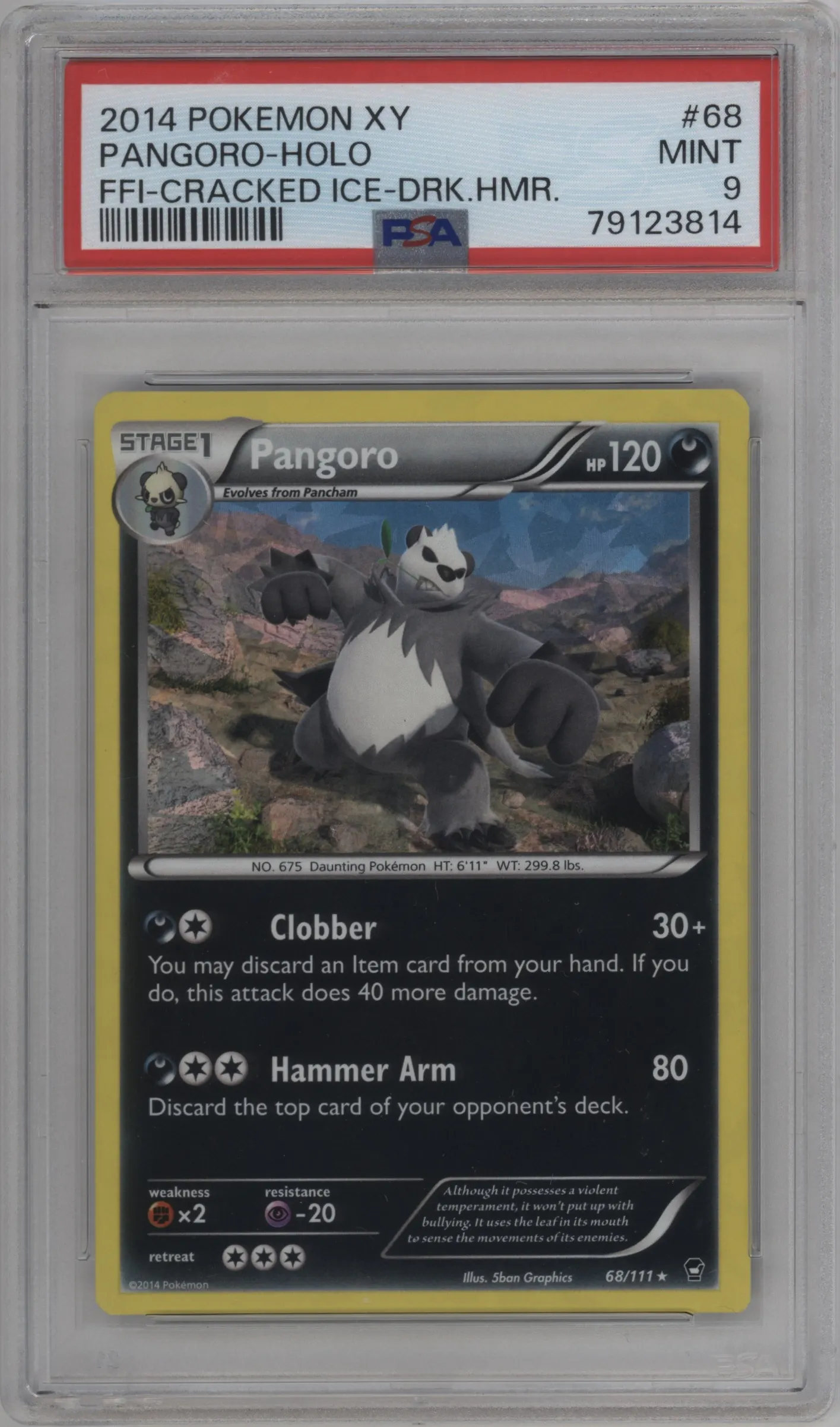 Pangoro