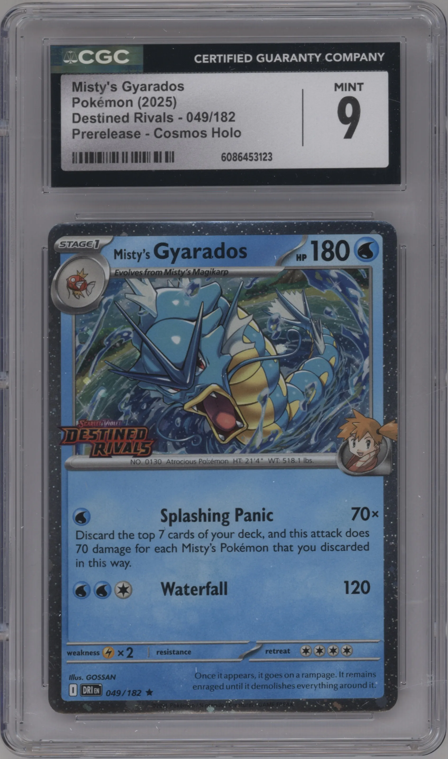 Misty's Gyarados