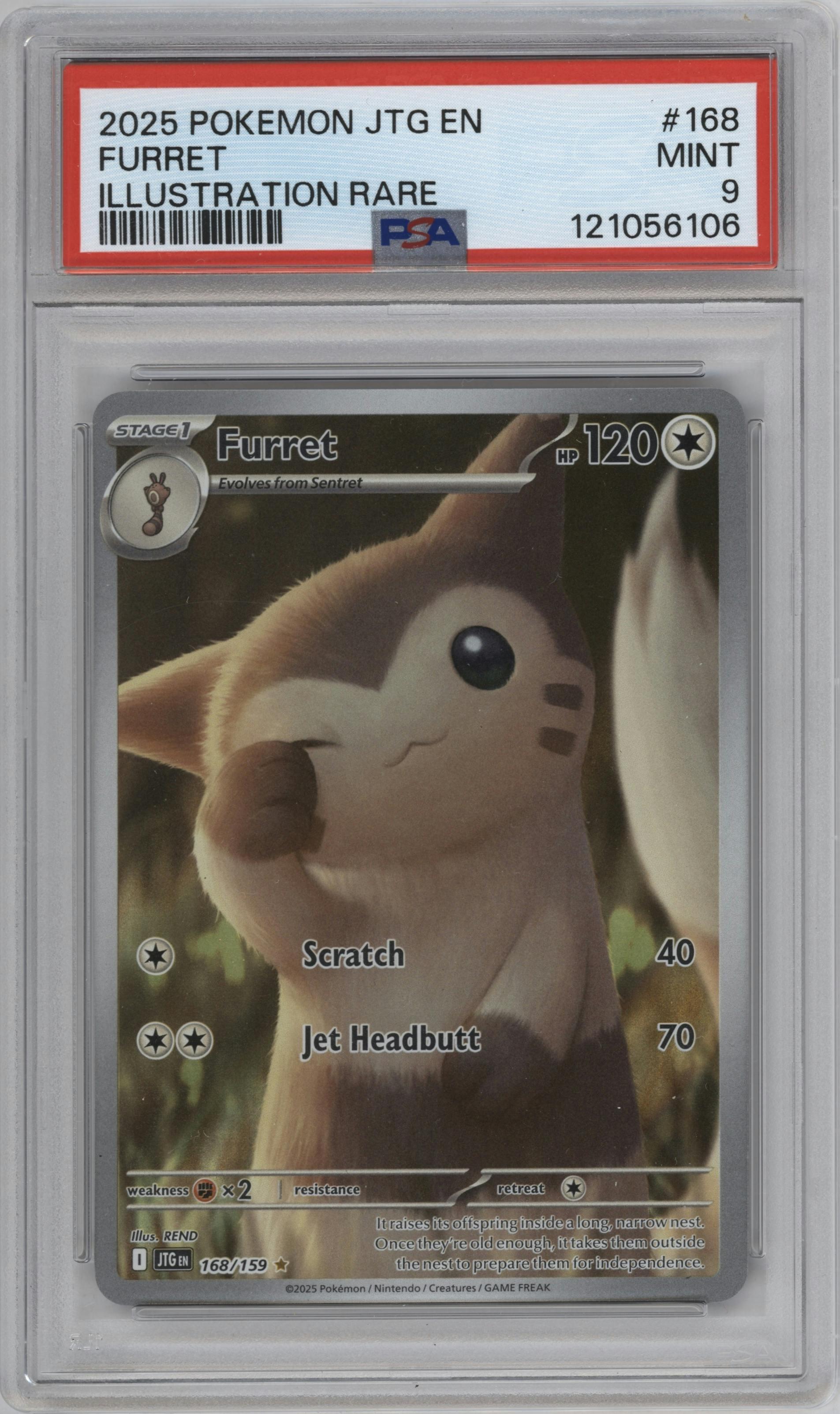 Furret