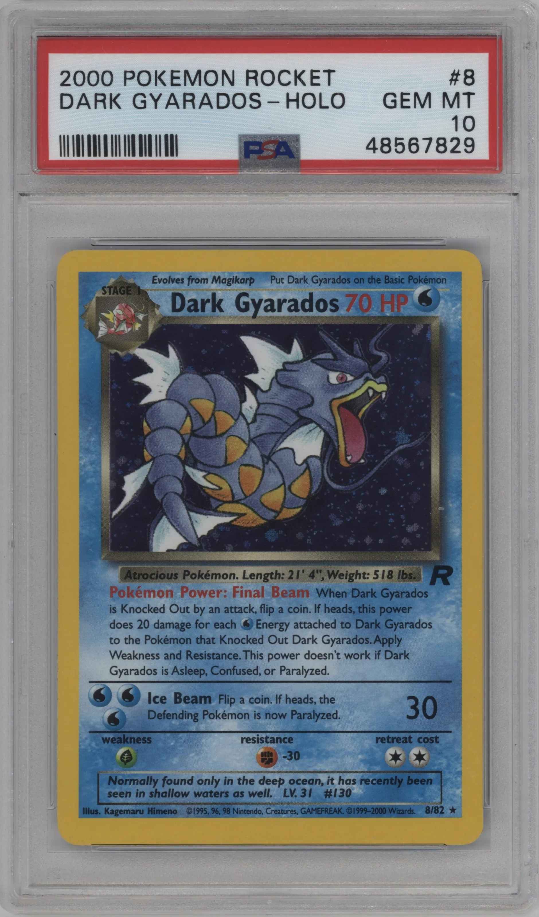 Dark Gyarados