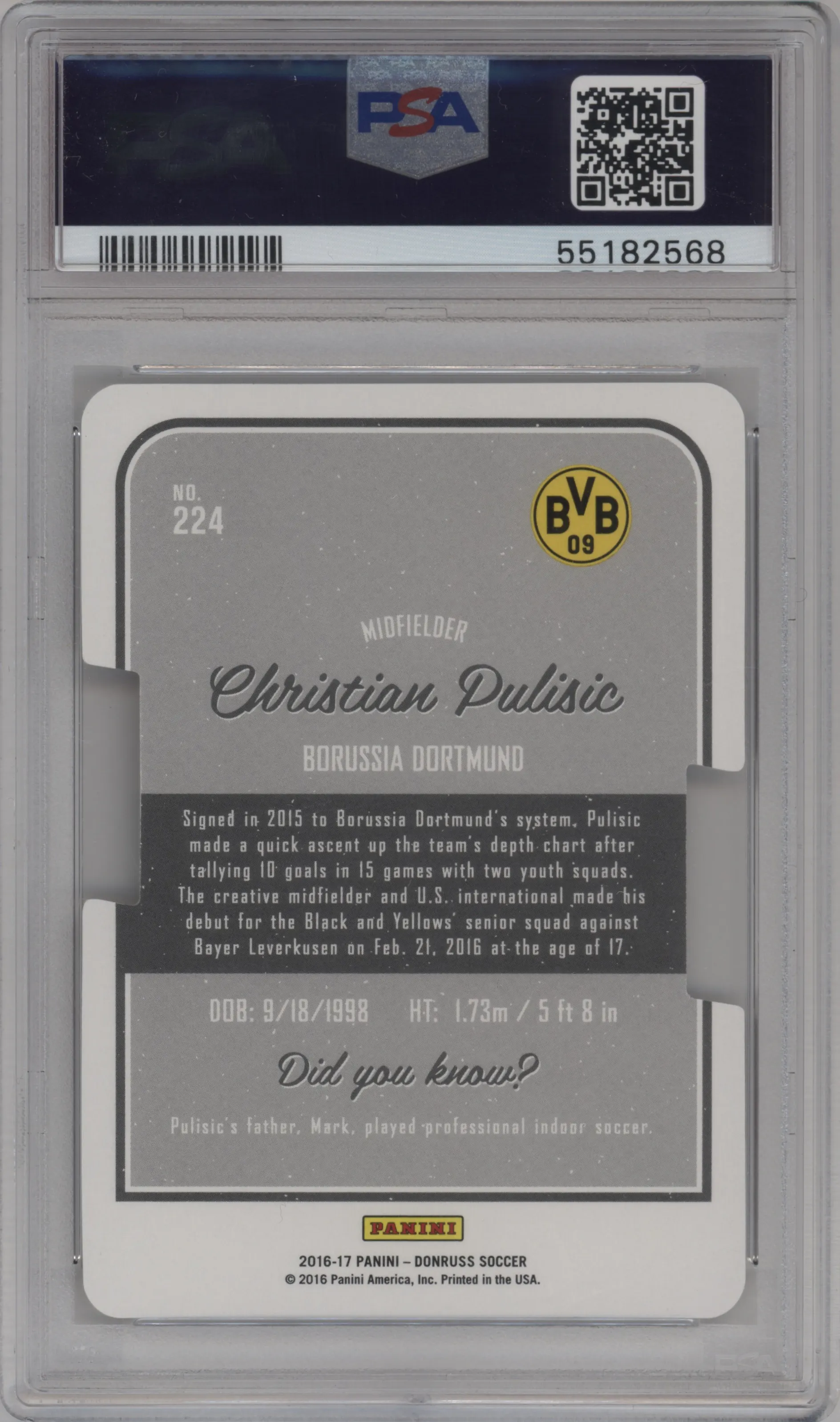 Christian Pulisic