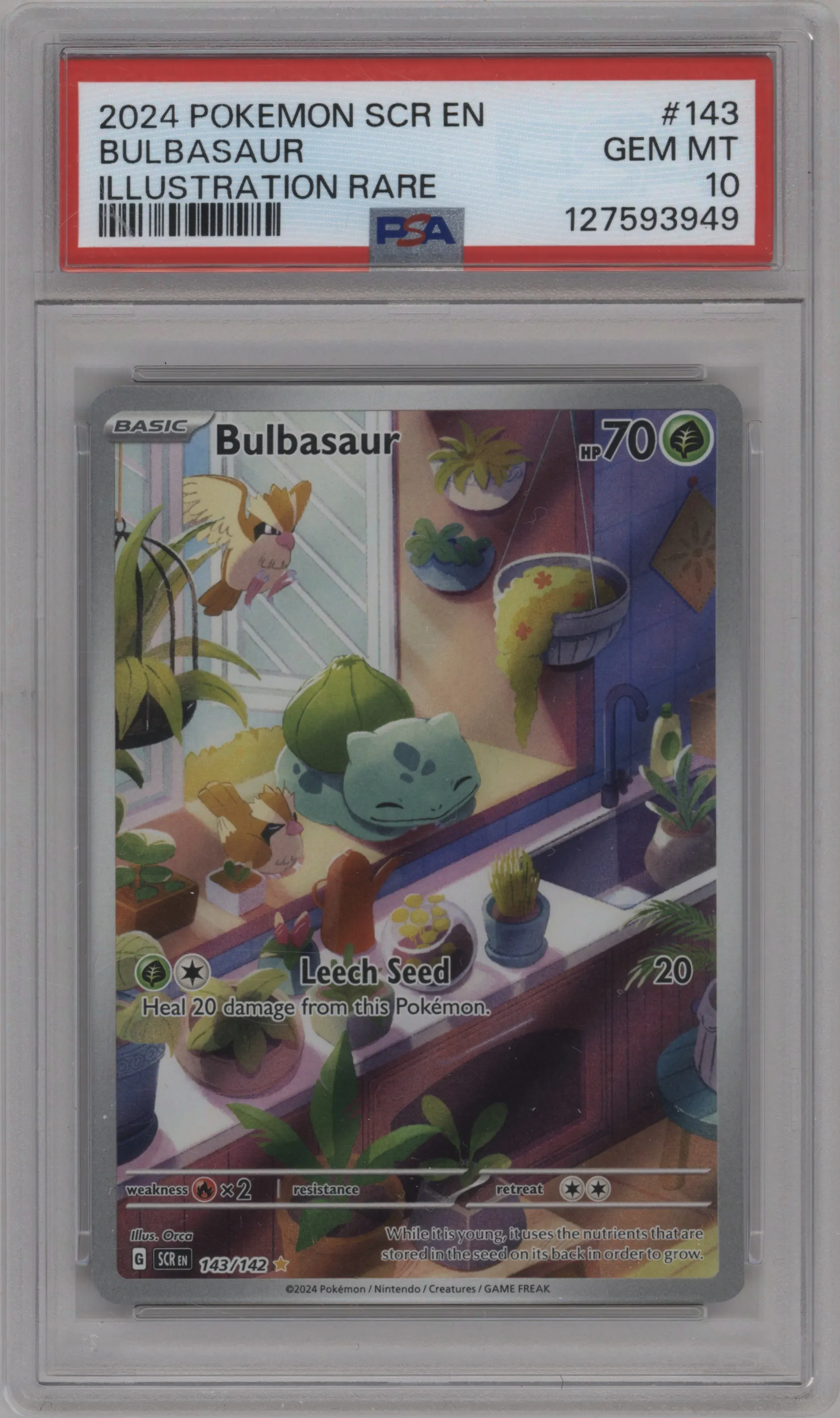 Bulbasaur