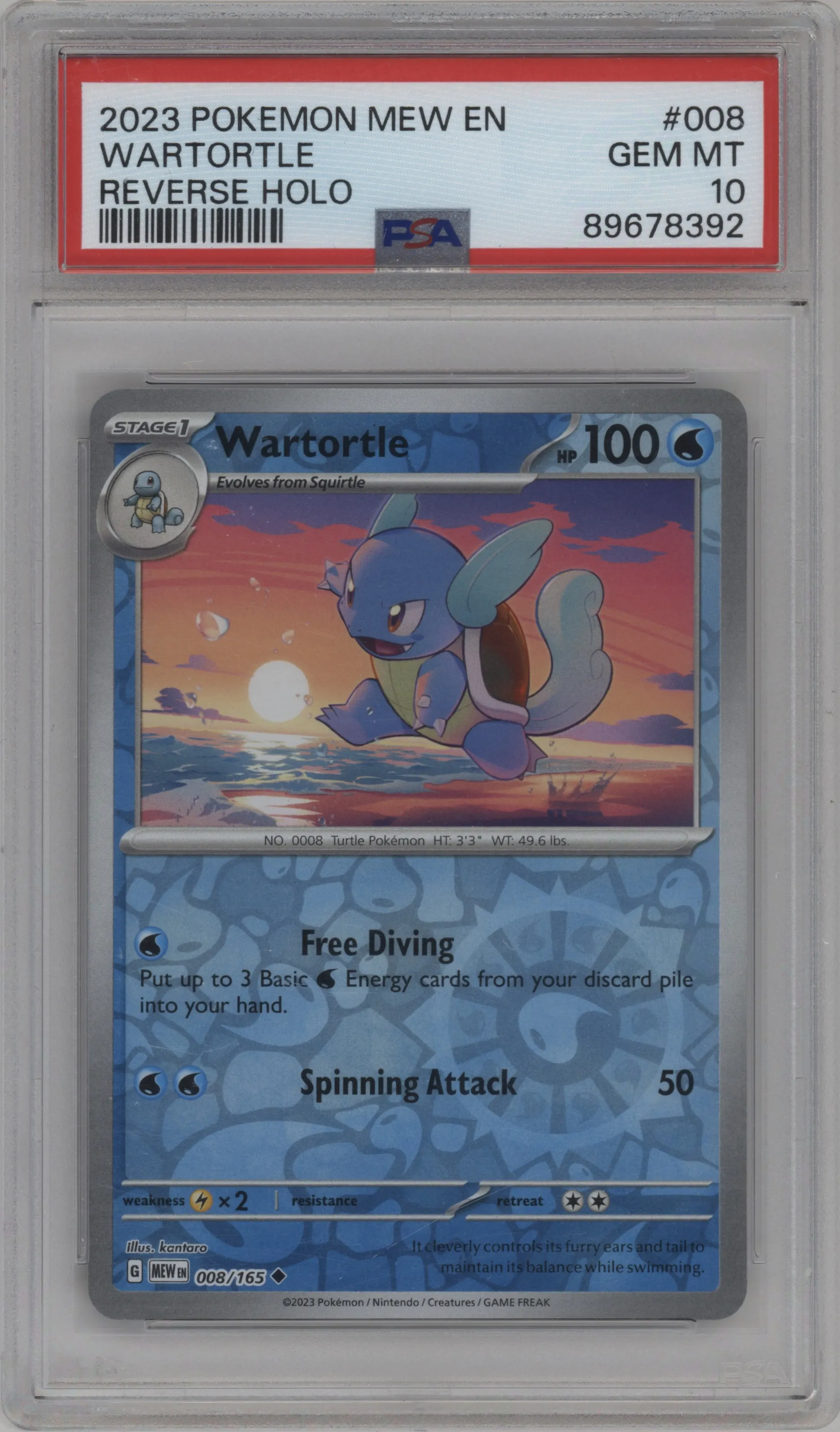 Wartortle