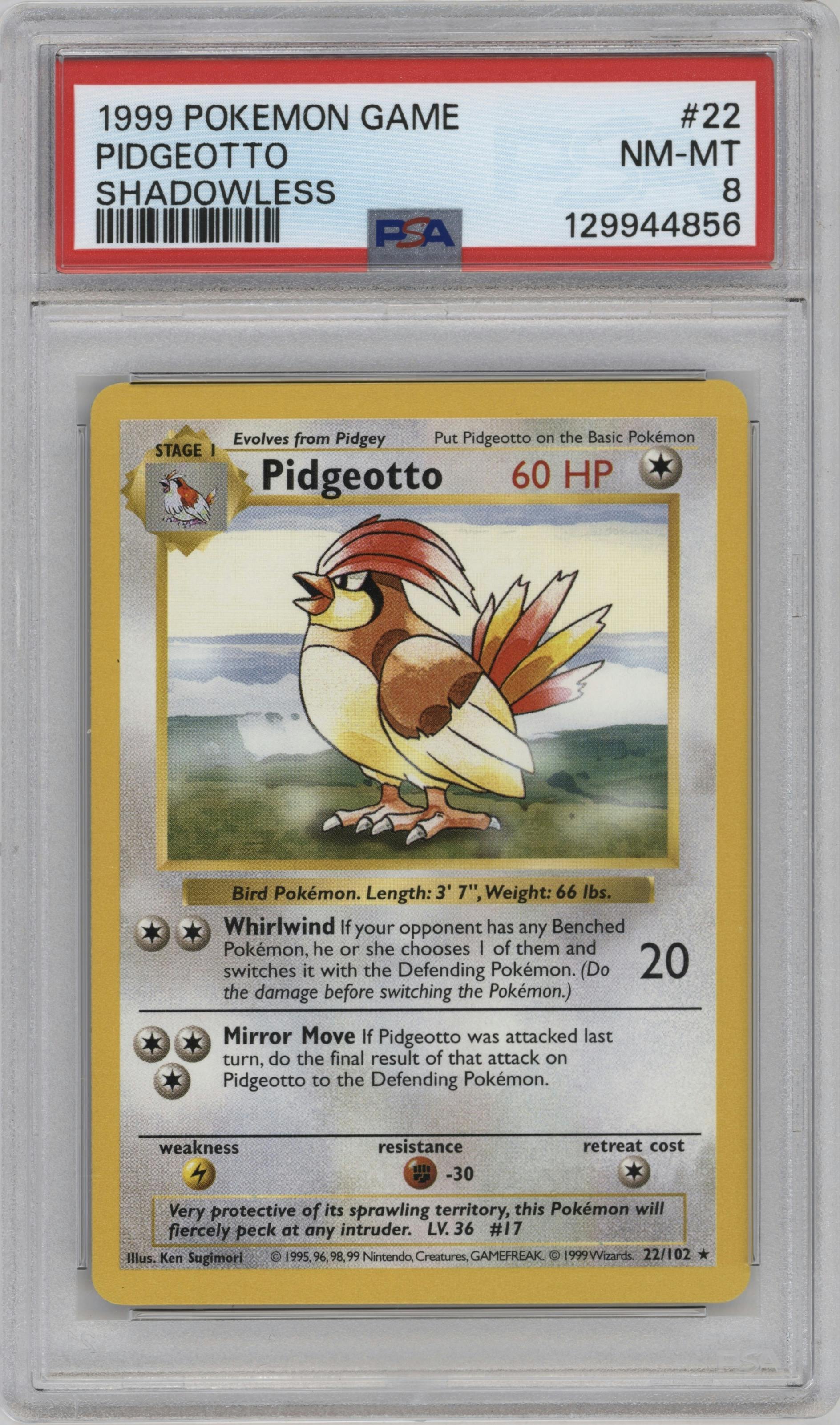Pidgeotto