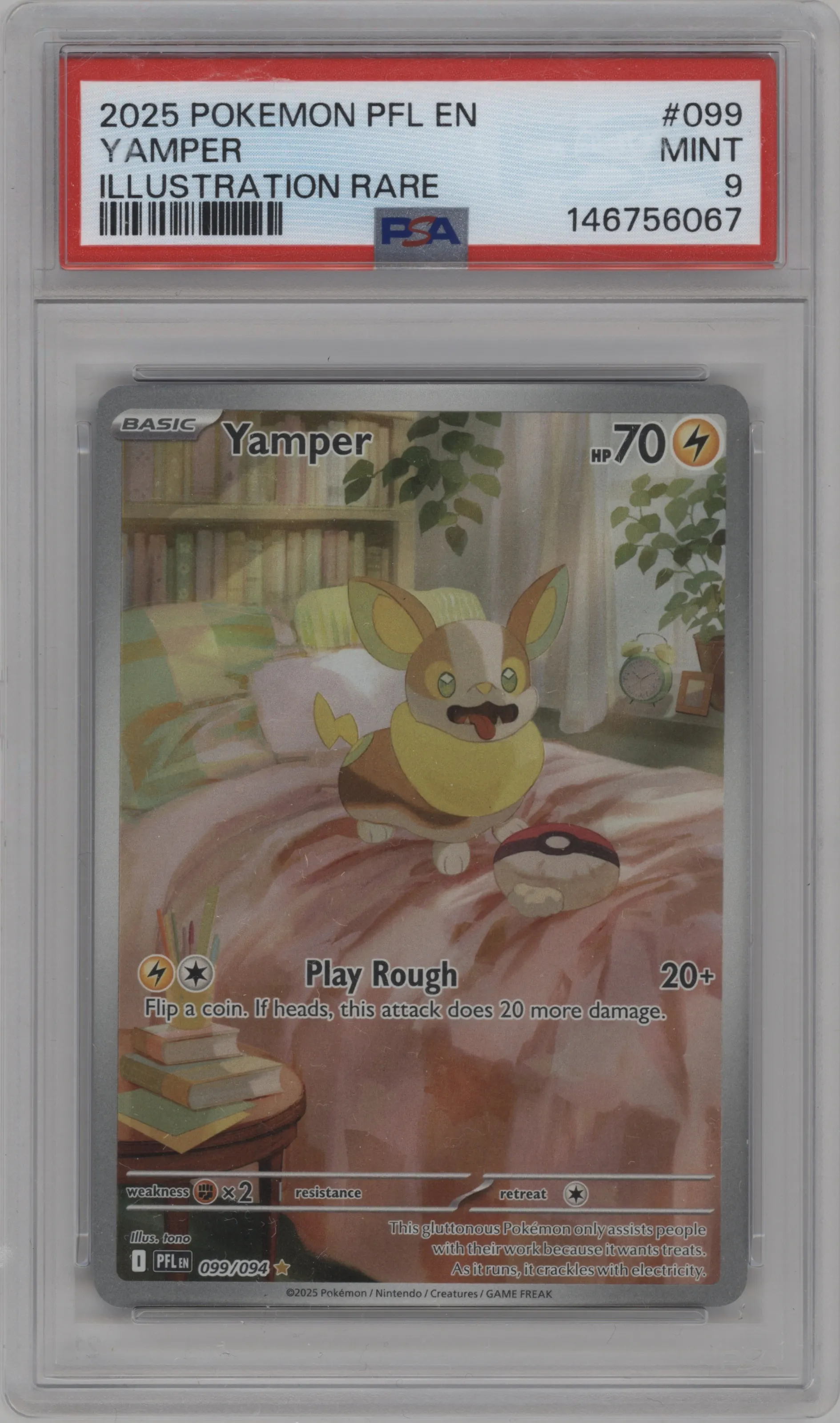 Yamper