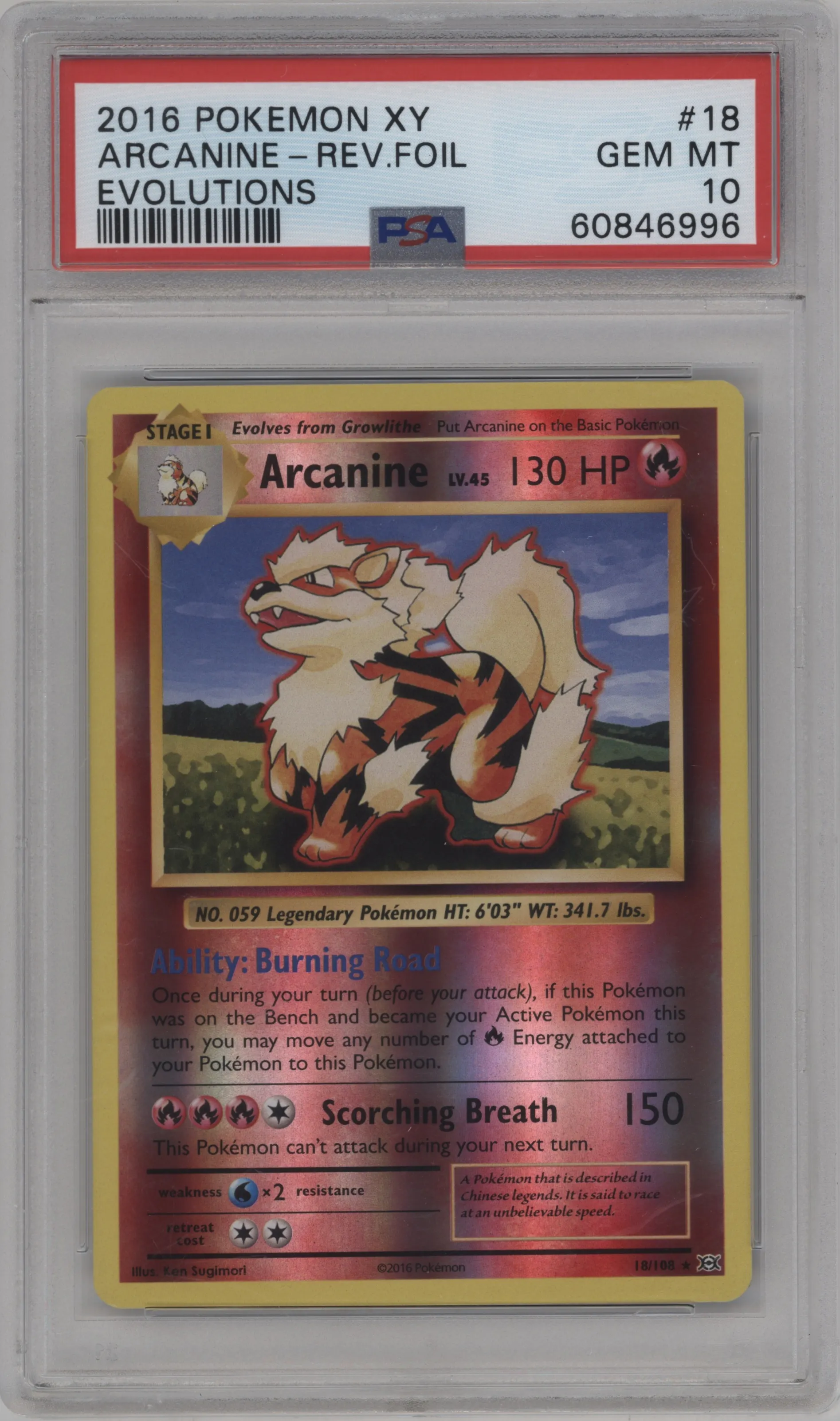 Arcanine