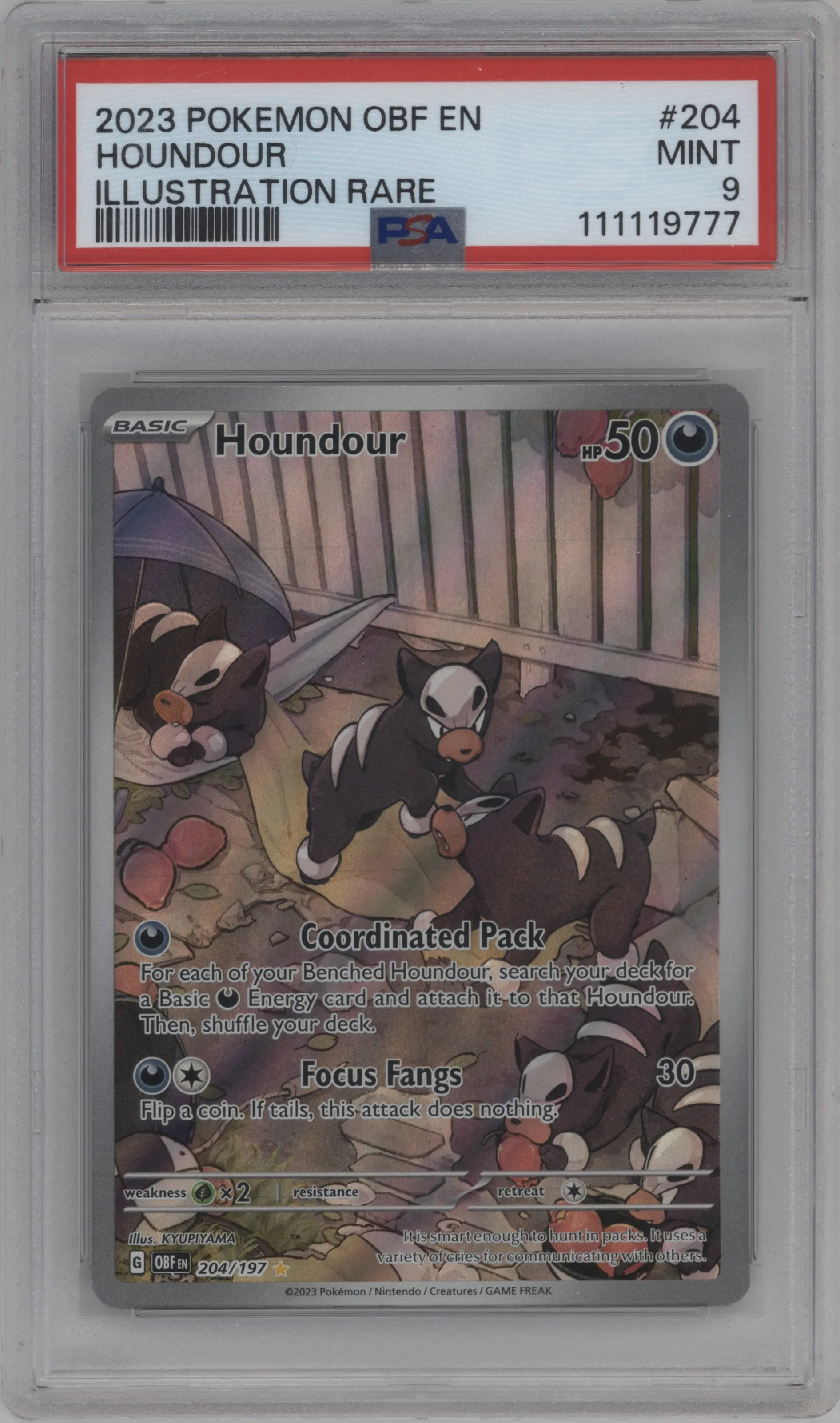 Houndour