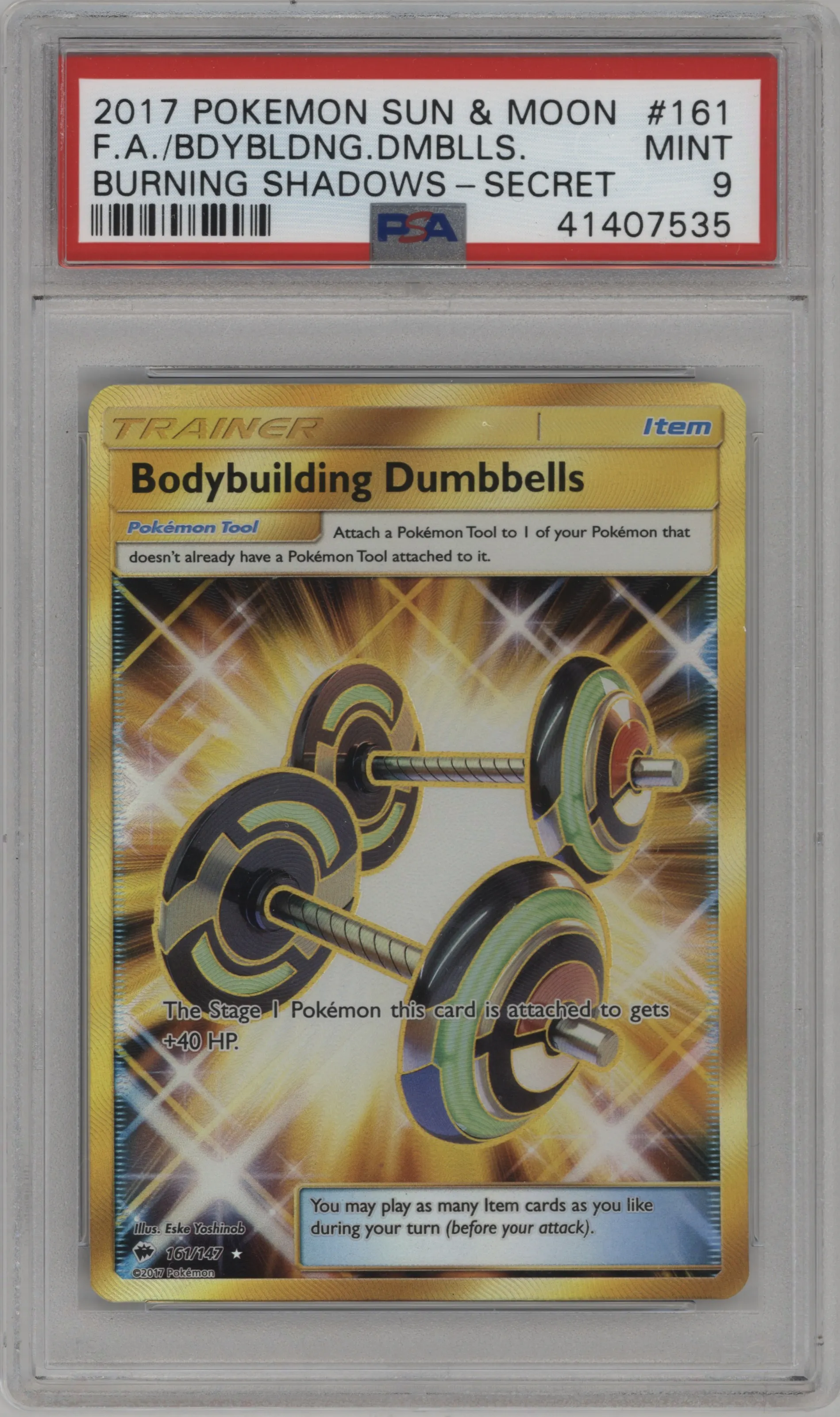 Bodybuilding Dumbbells