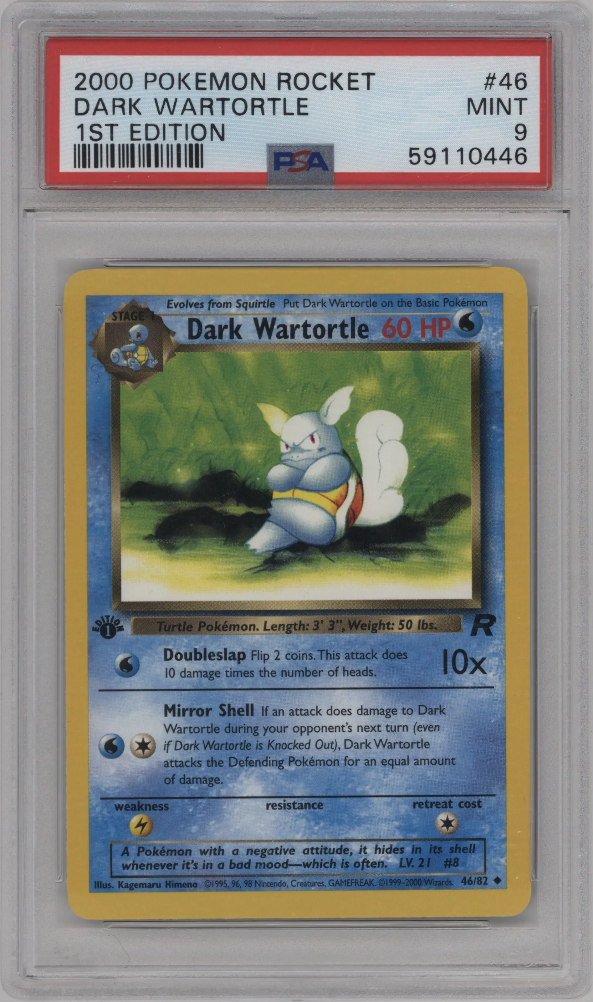 Dark Wartortle
