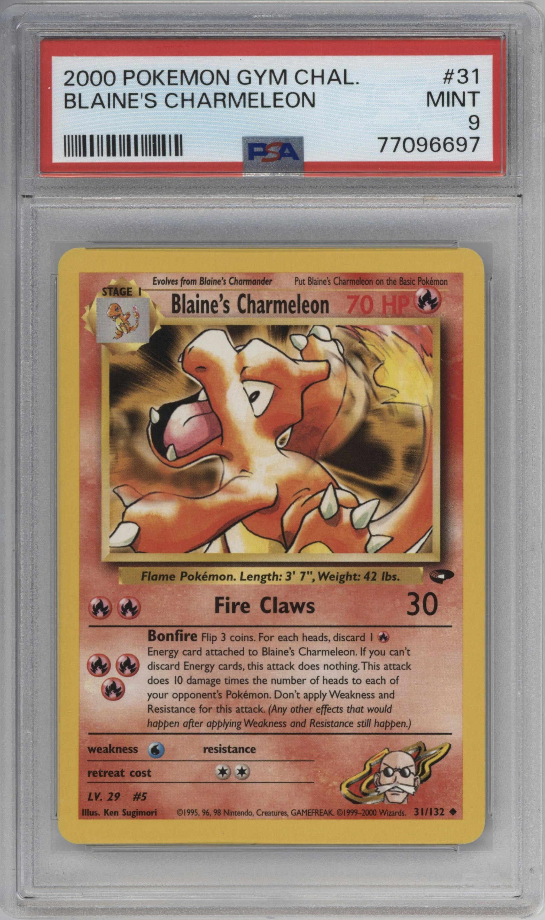 Blaine's Charmeleon
