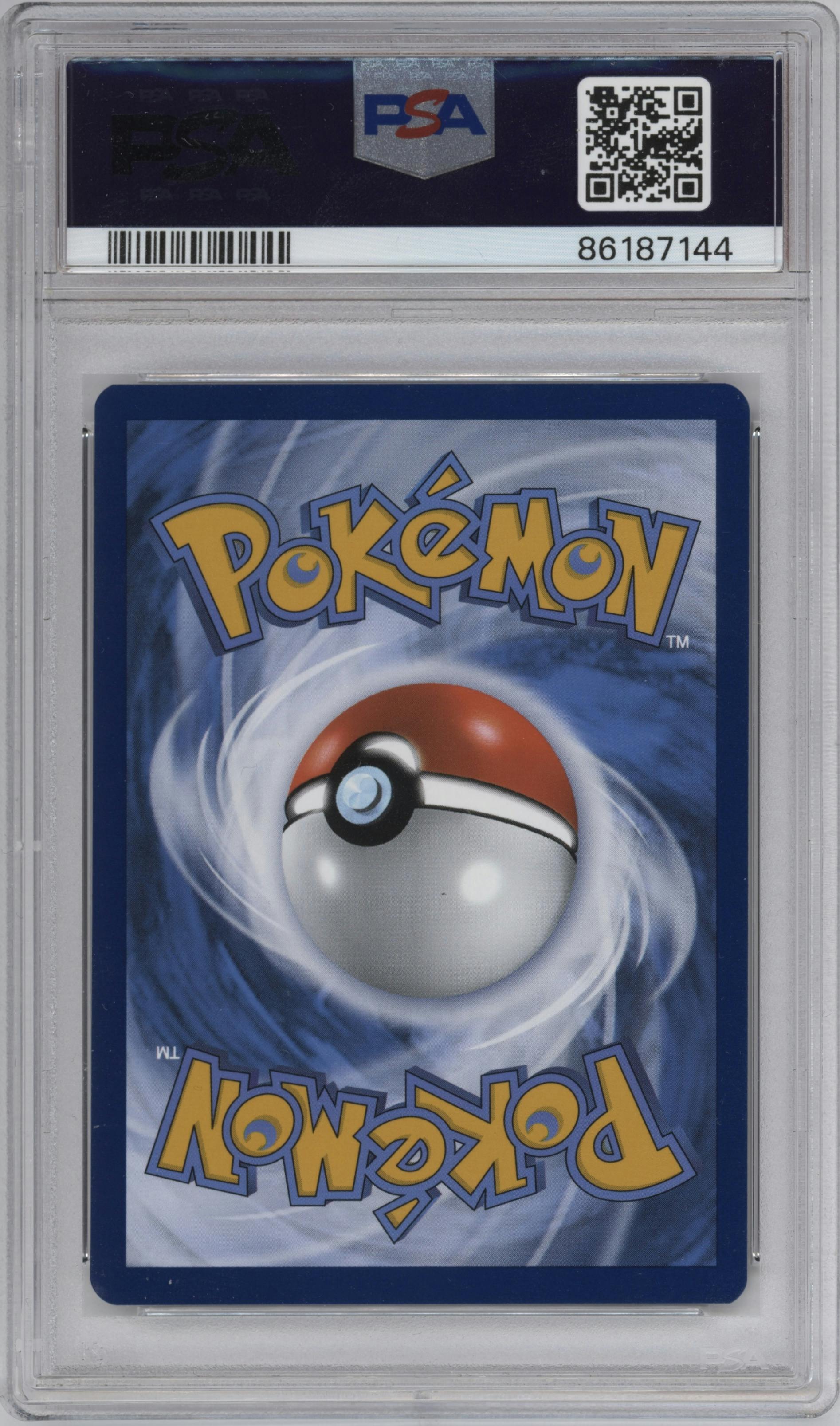 Pikachu with Grey Felt Hat