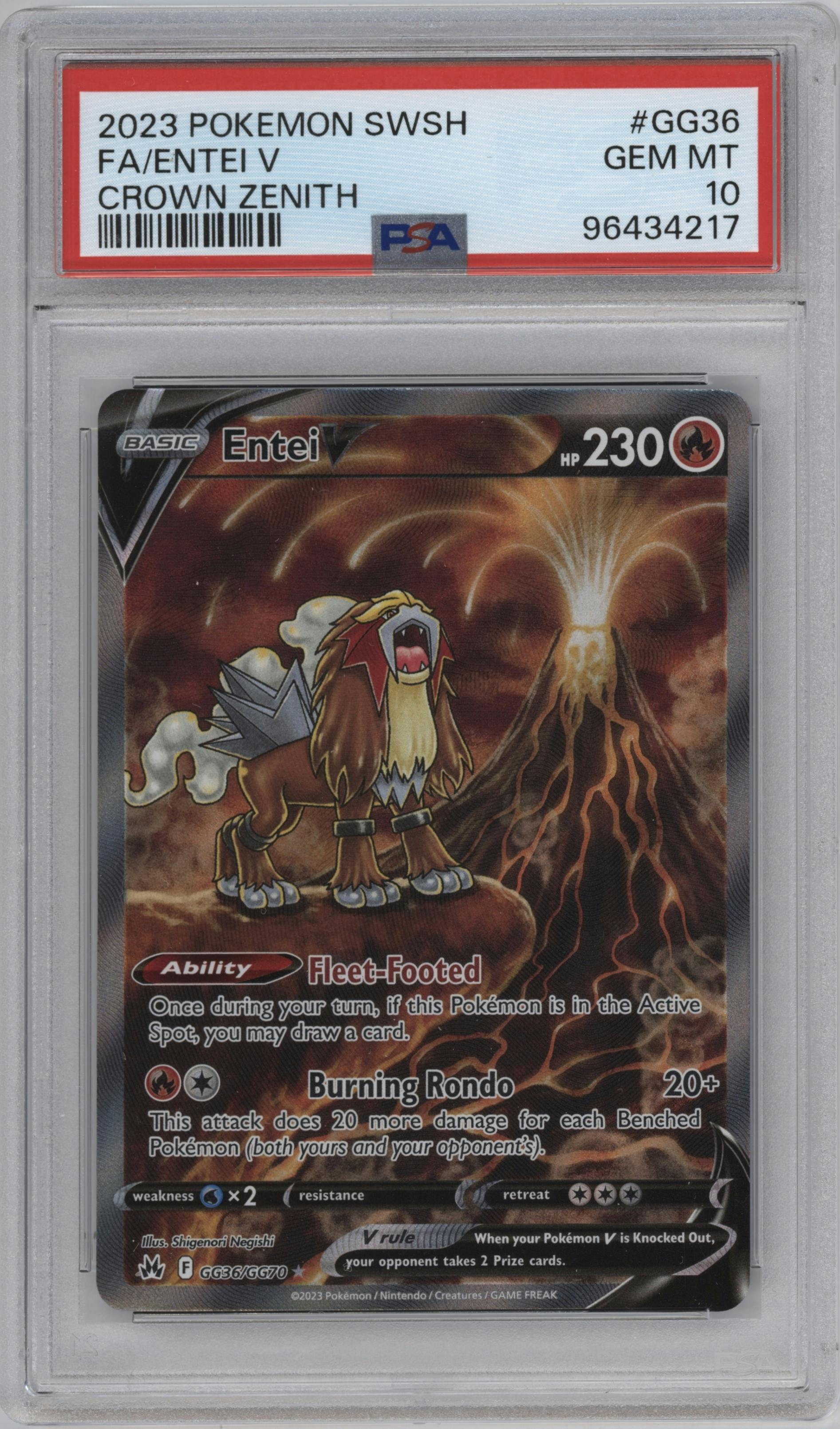 Entei V