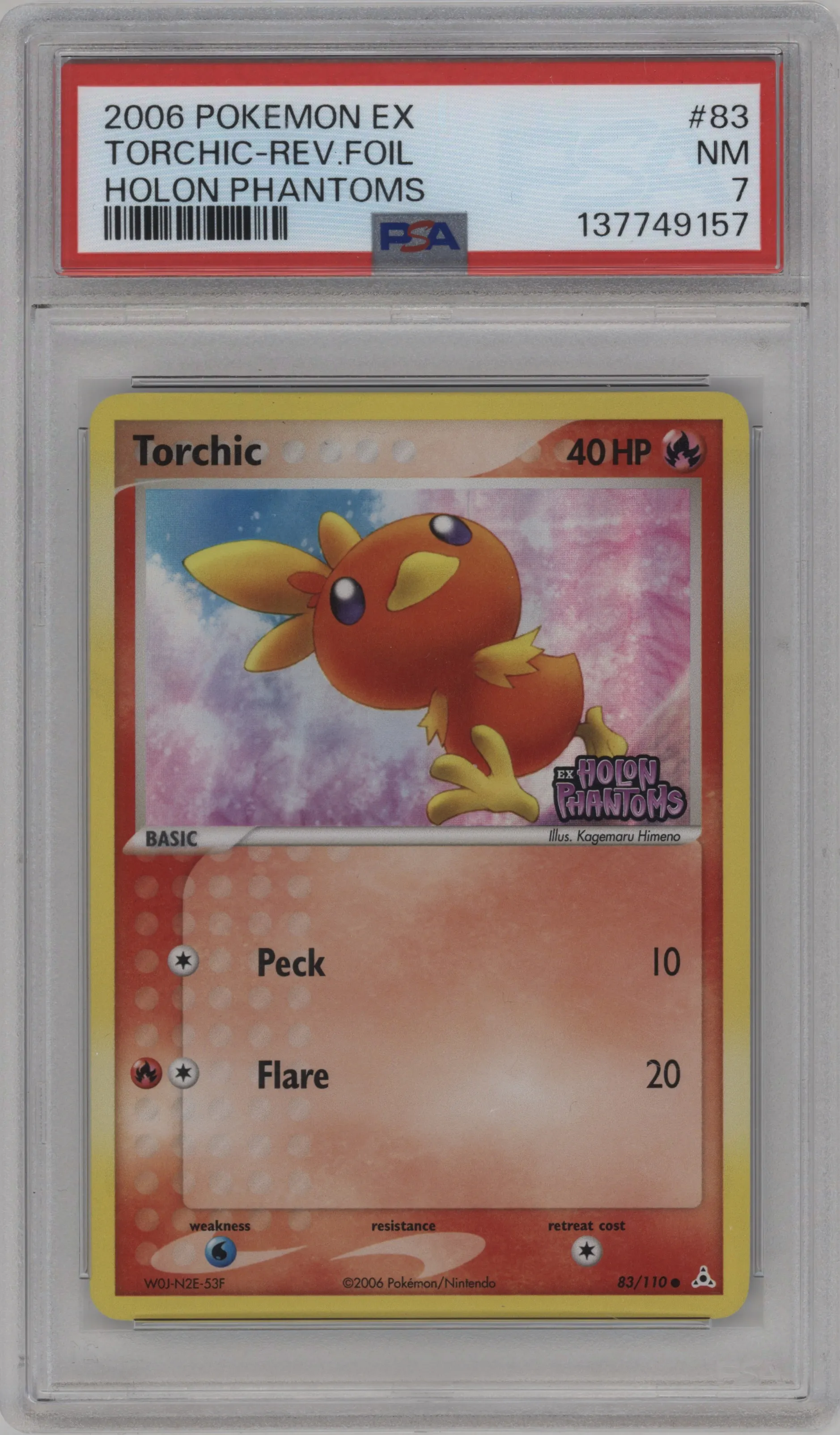 Torchic
