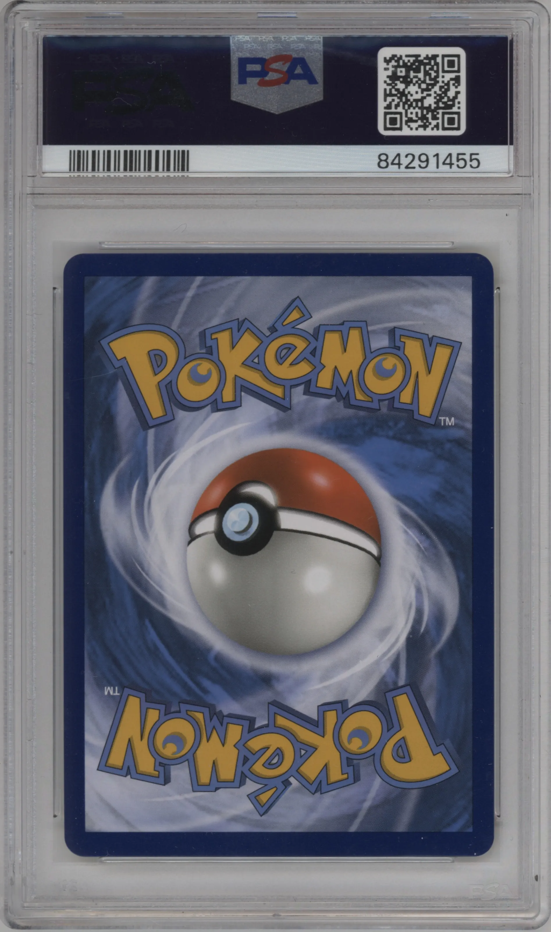 Raichu & Alolan Raichu GX