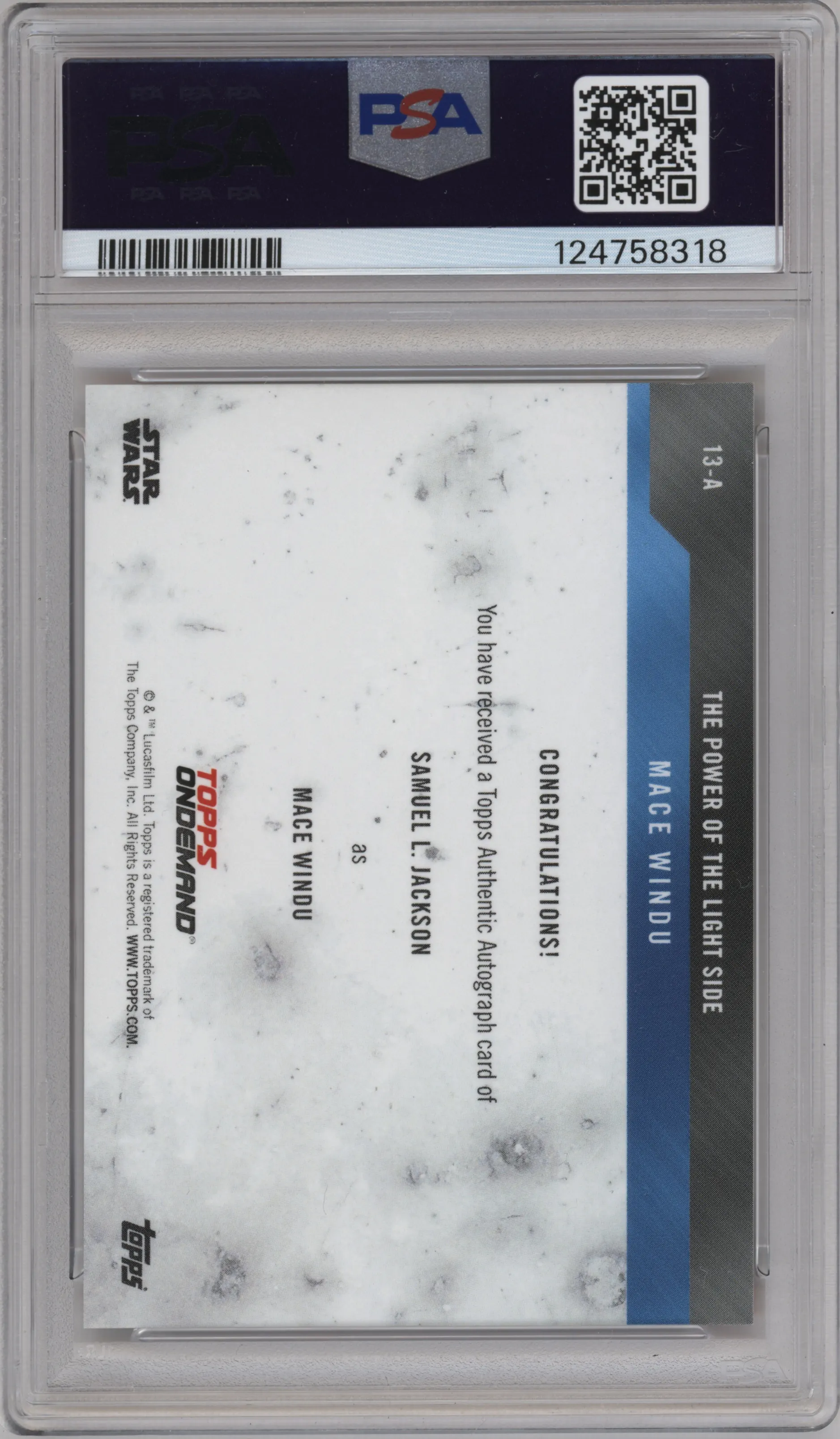 Samuel L. Jackson as Mace Windu 