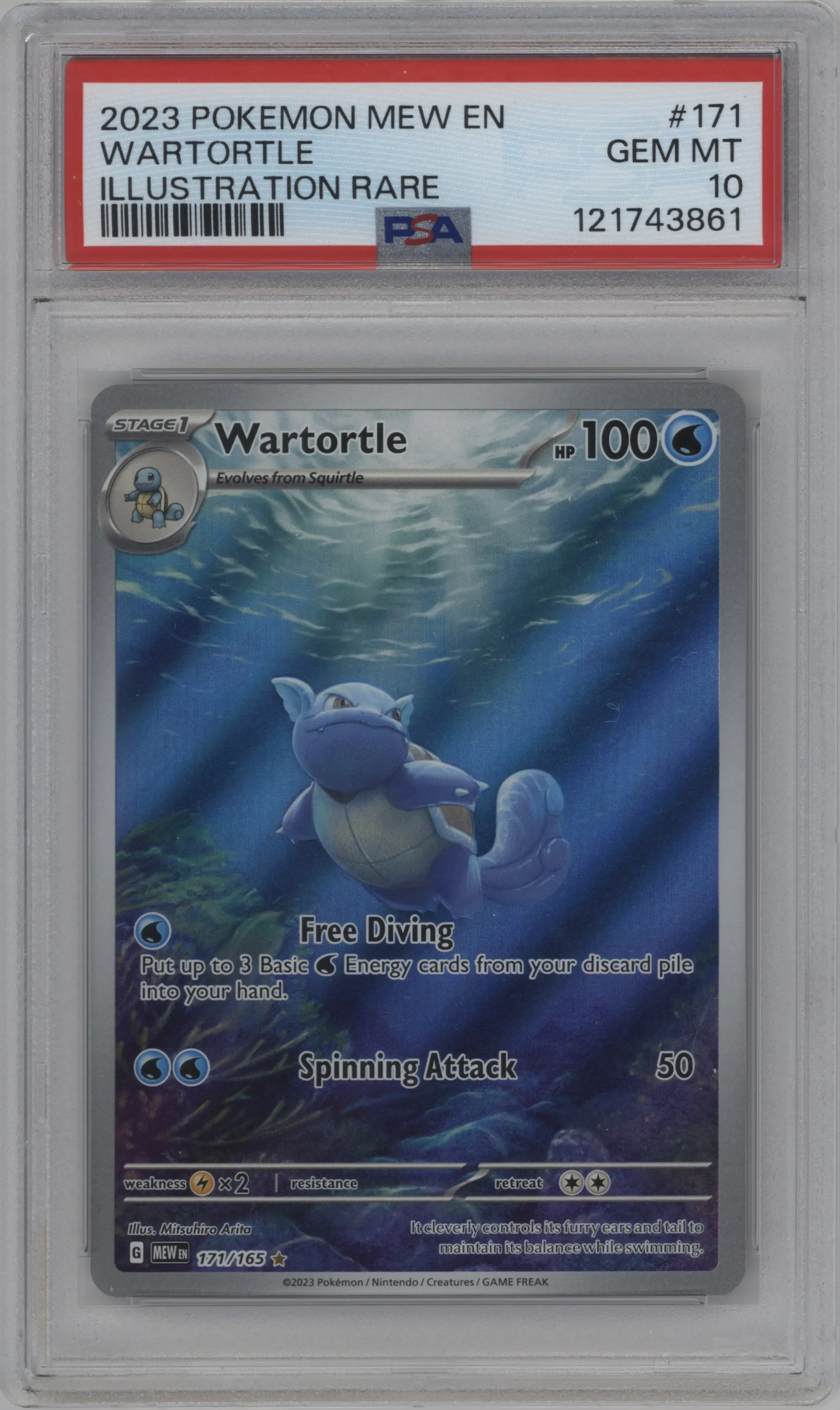 Wartortle