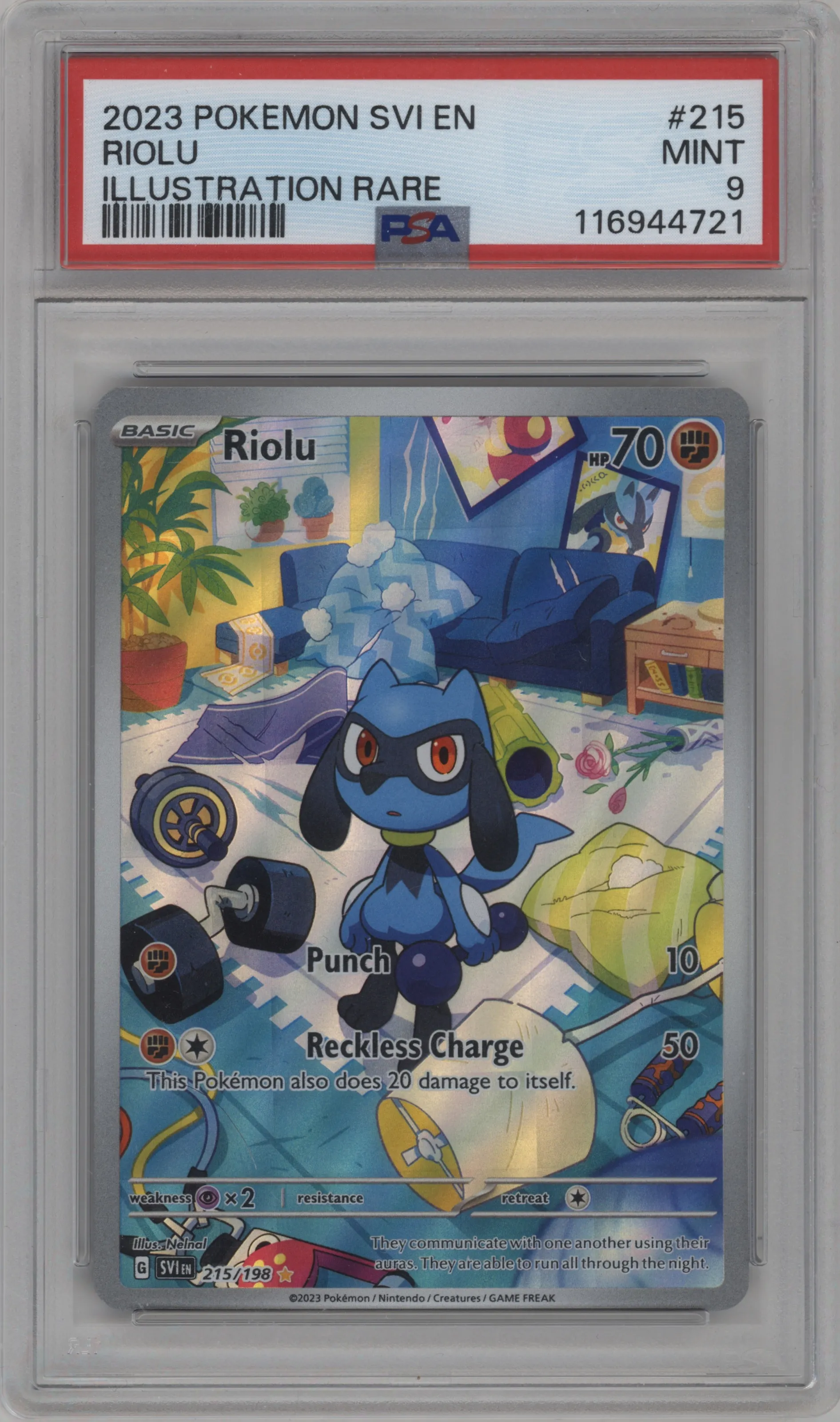 Riolu