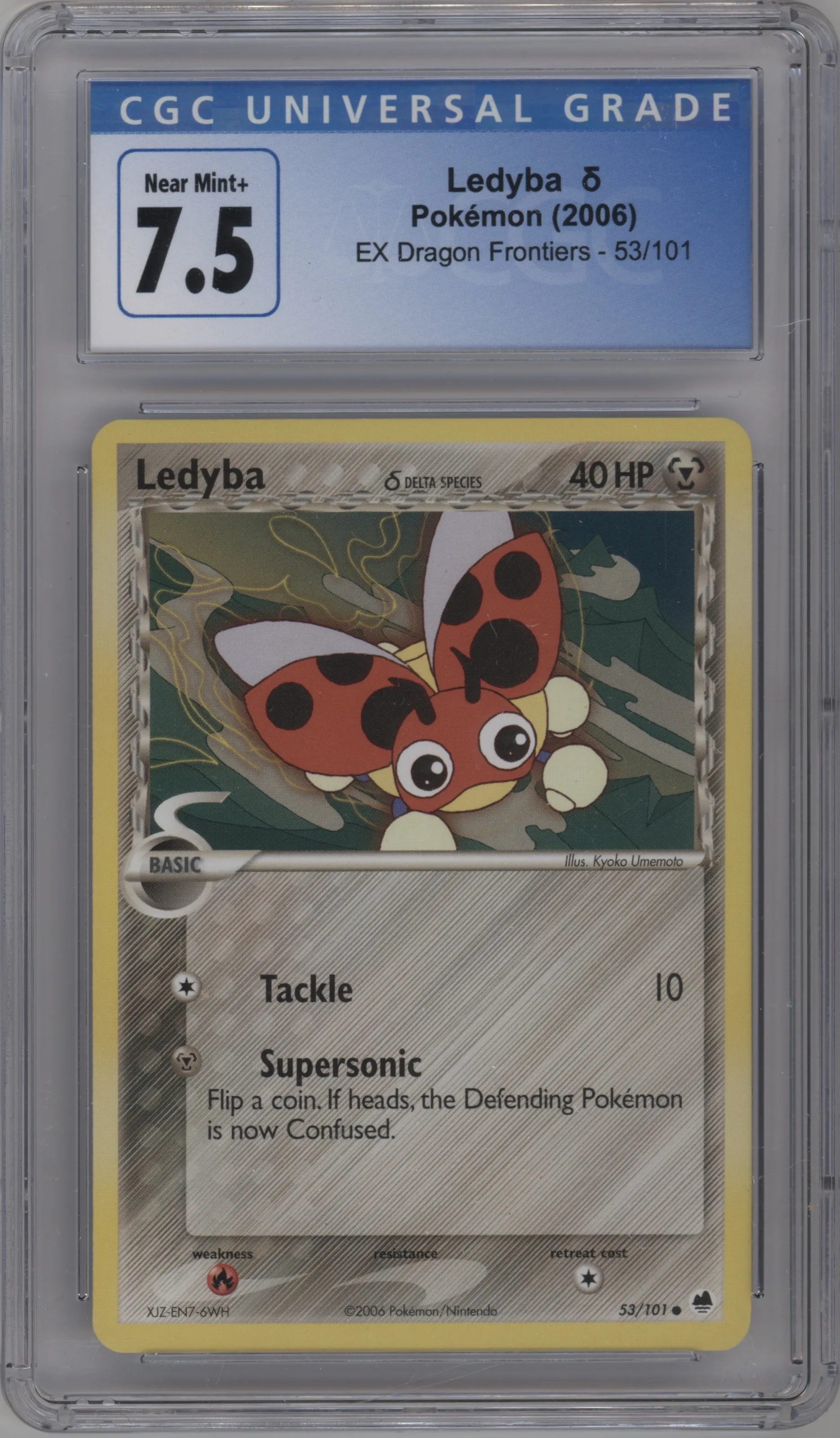 Ledyba