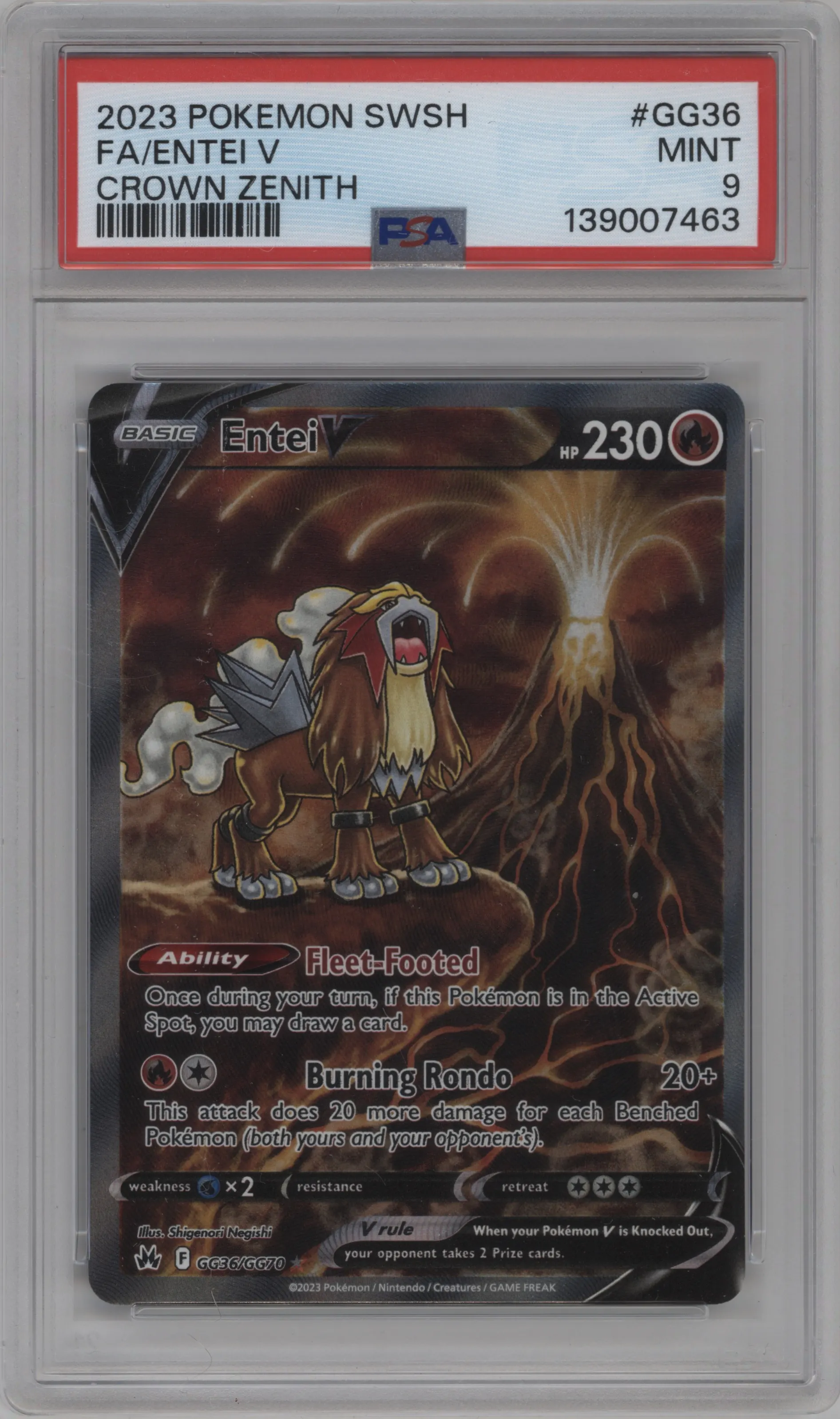 Entei V