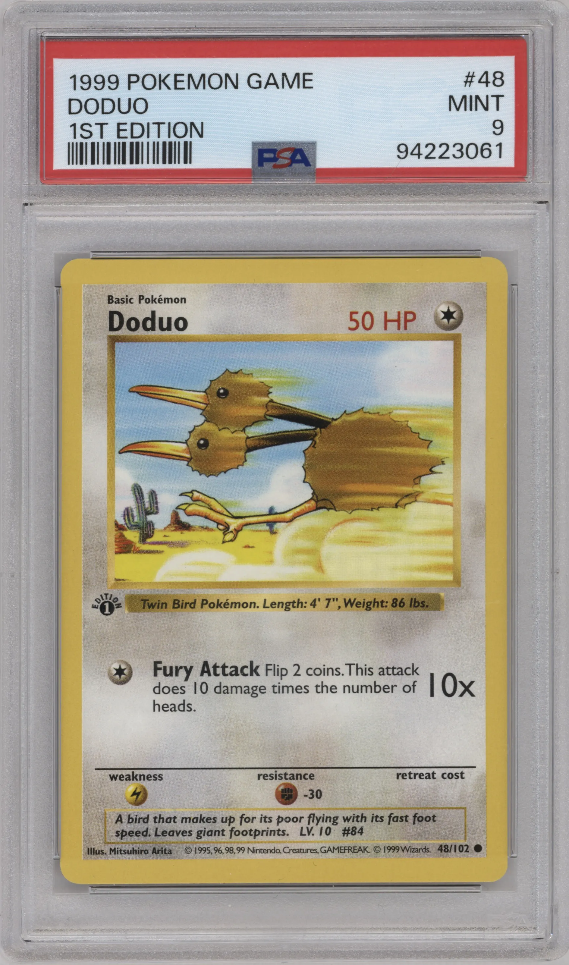 Doduo