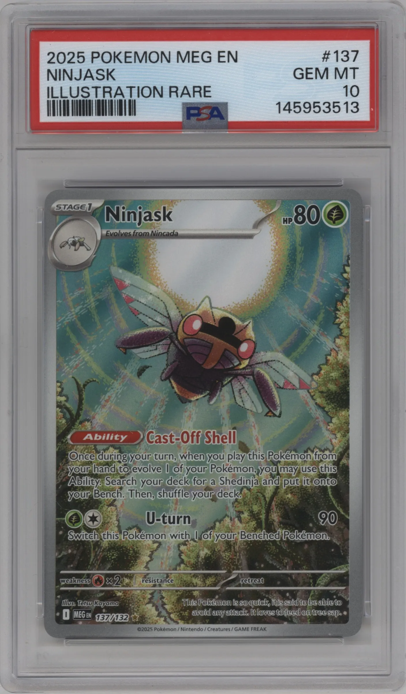 Ninjask