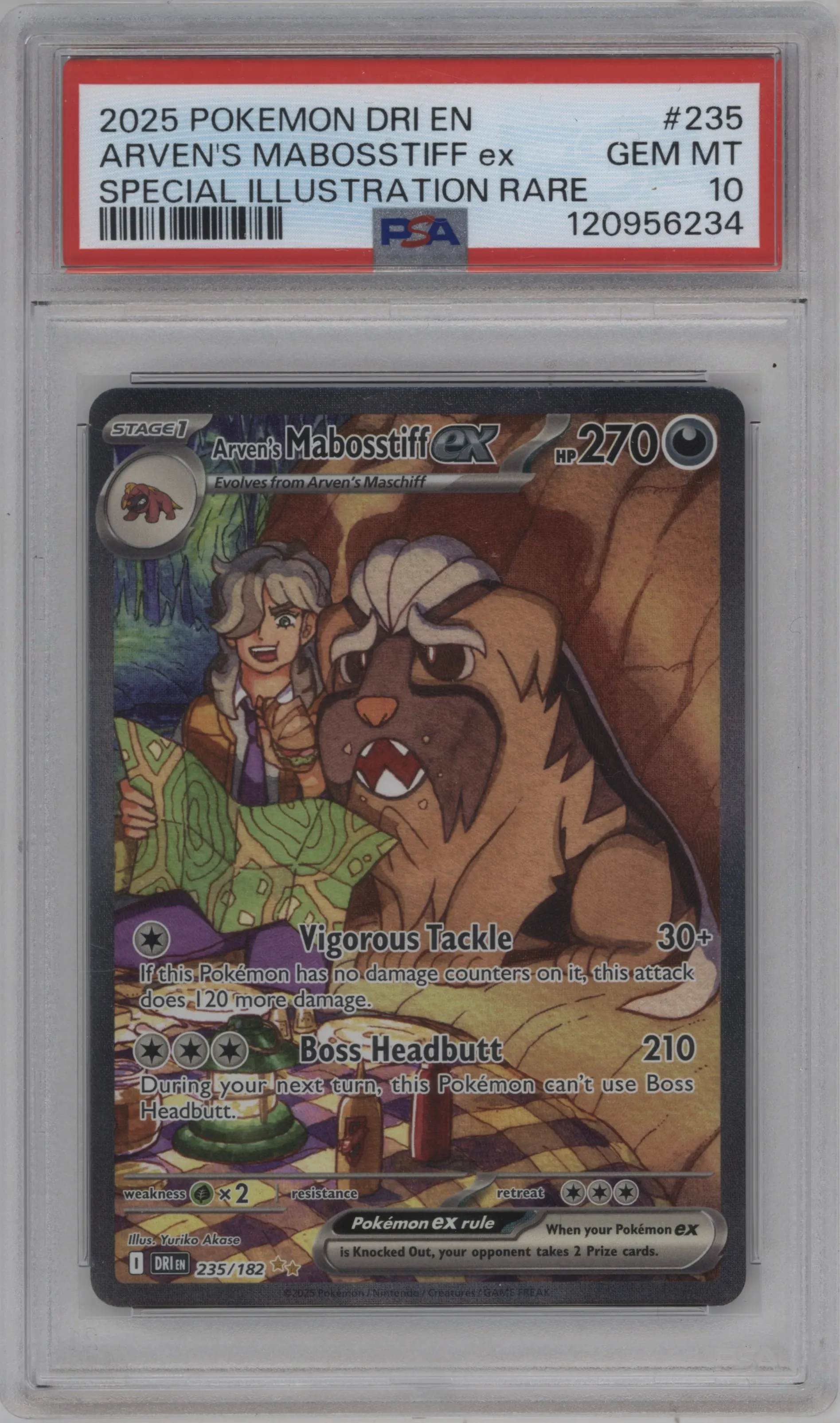 Arven's Mabosstiff ex