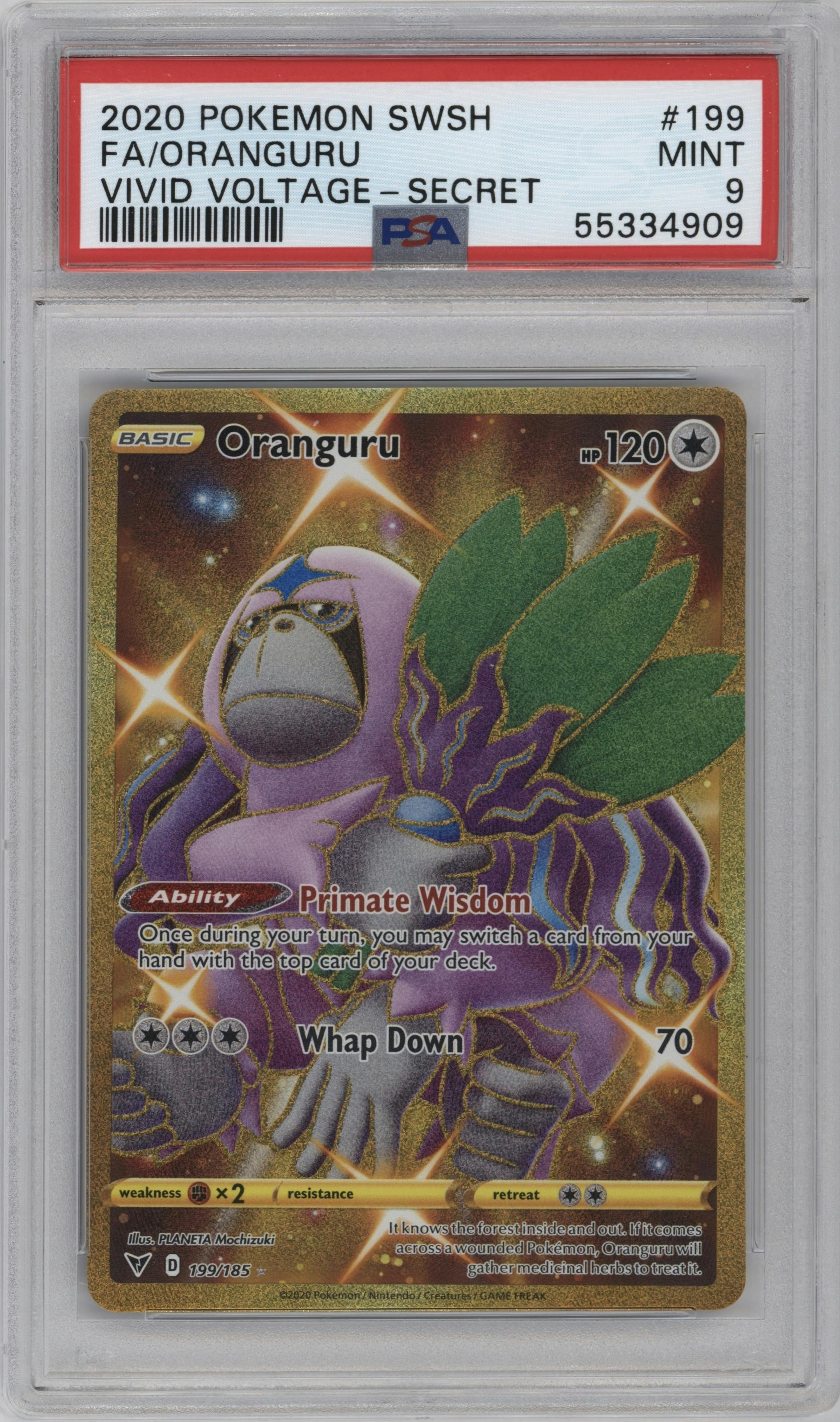  Oranguru