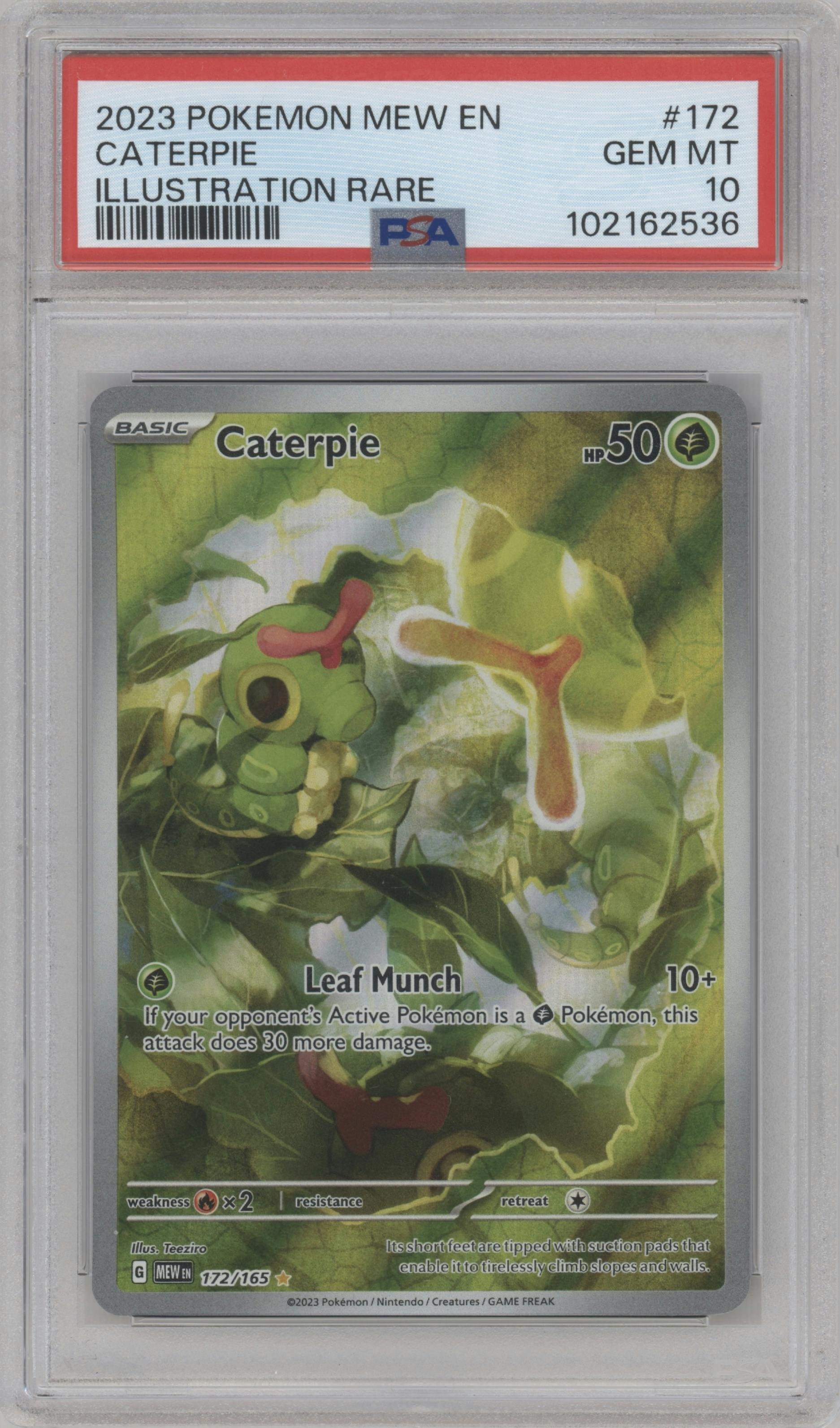 Caterpie from the 2023 Pokemon SV set graded by PSA and given an overall grade of 10.