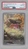 Pawmi from the 2024 Pokemon SV set graded by PSA and given an overall grade of 10.
