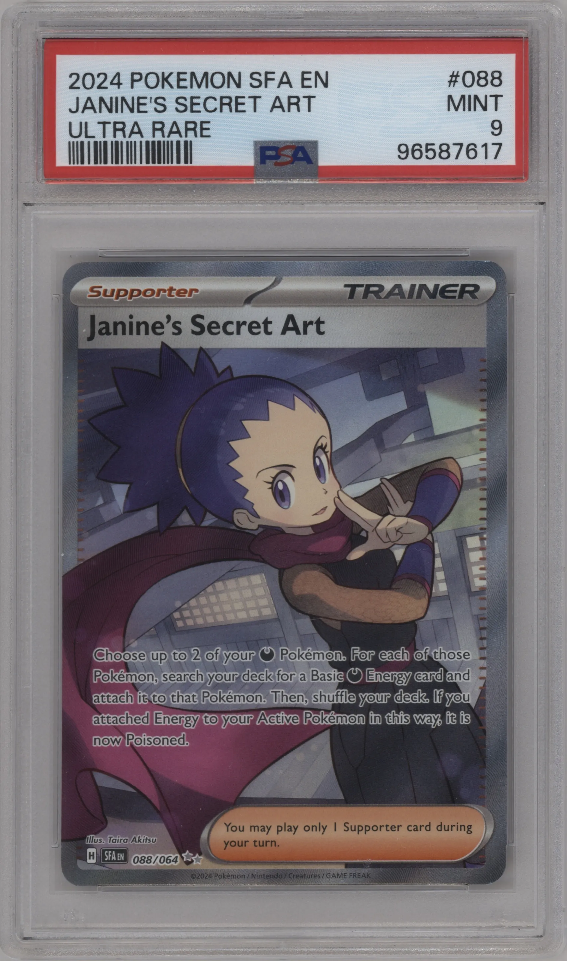 Janine's Secret Art
