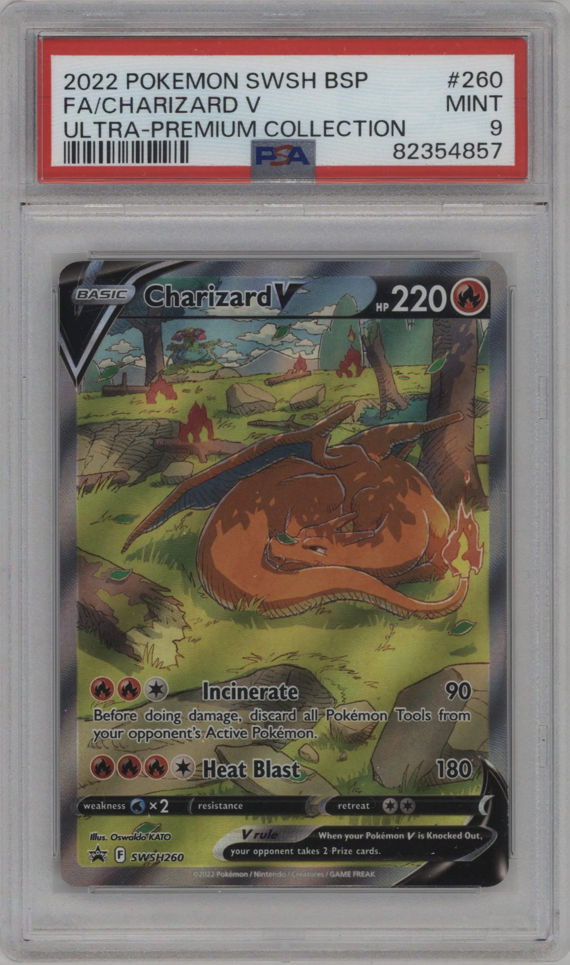 Charizard V