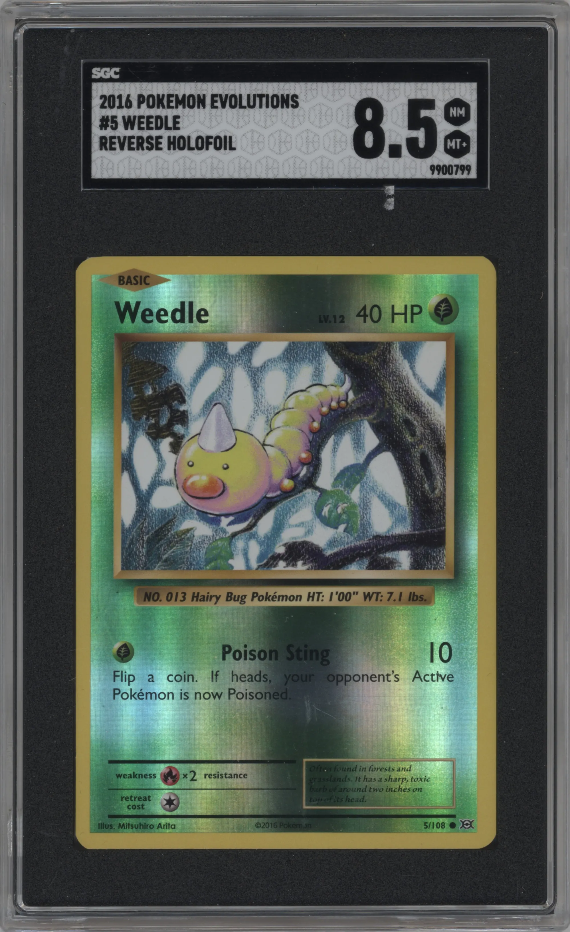 Weedle