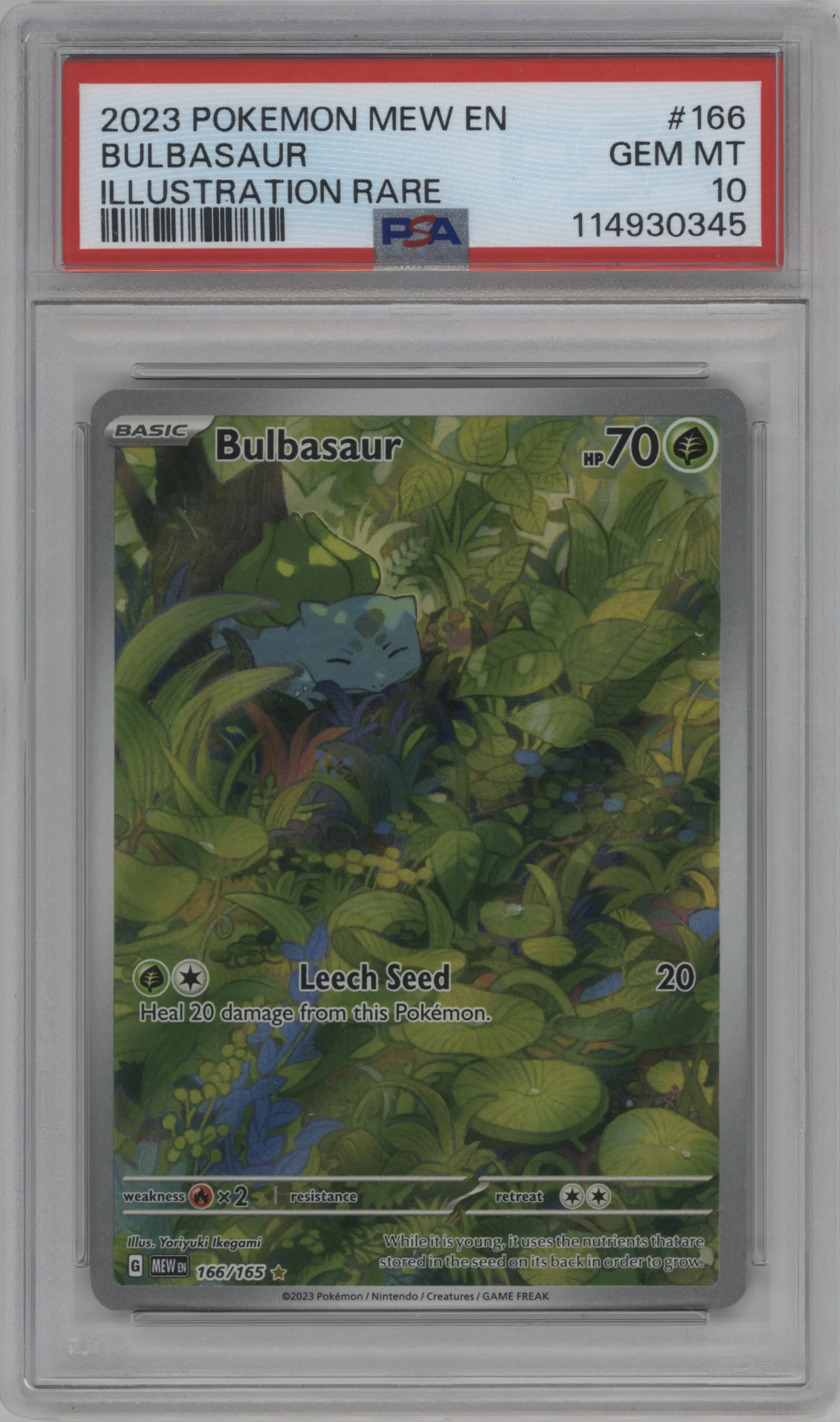 Bulbasaur