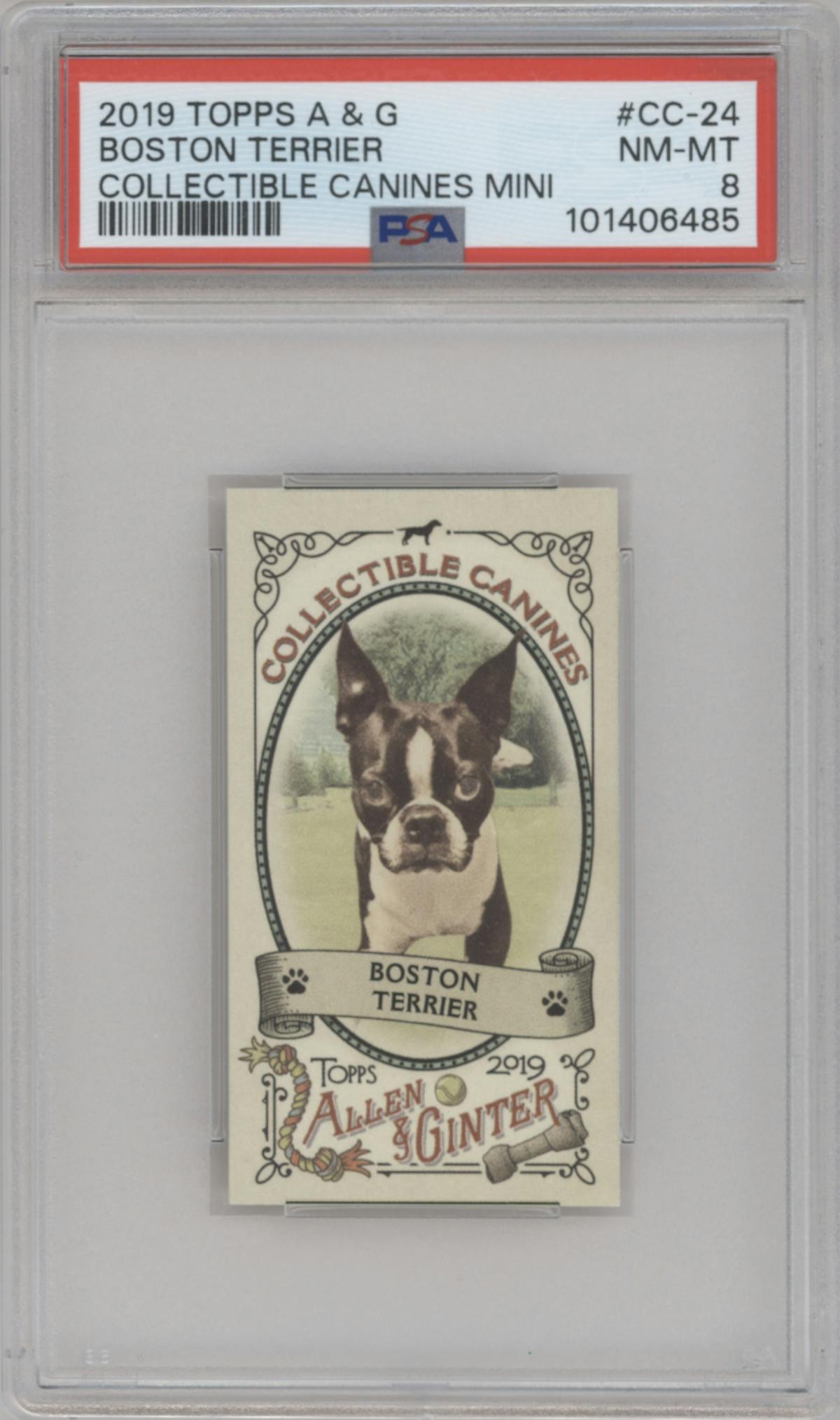 Boston Terrier from the 2019 Topps Allen & Ginter set graded by PSA and given an overall grade of 8.