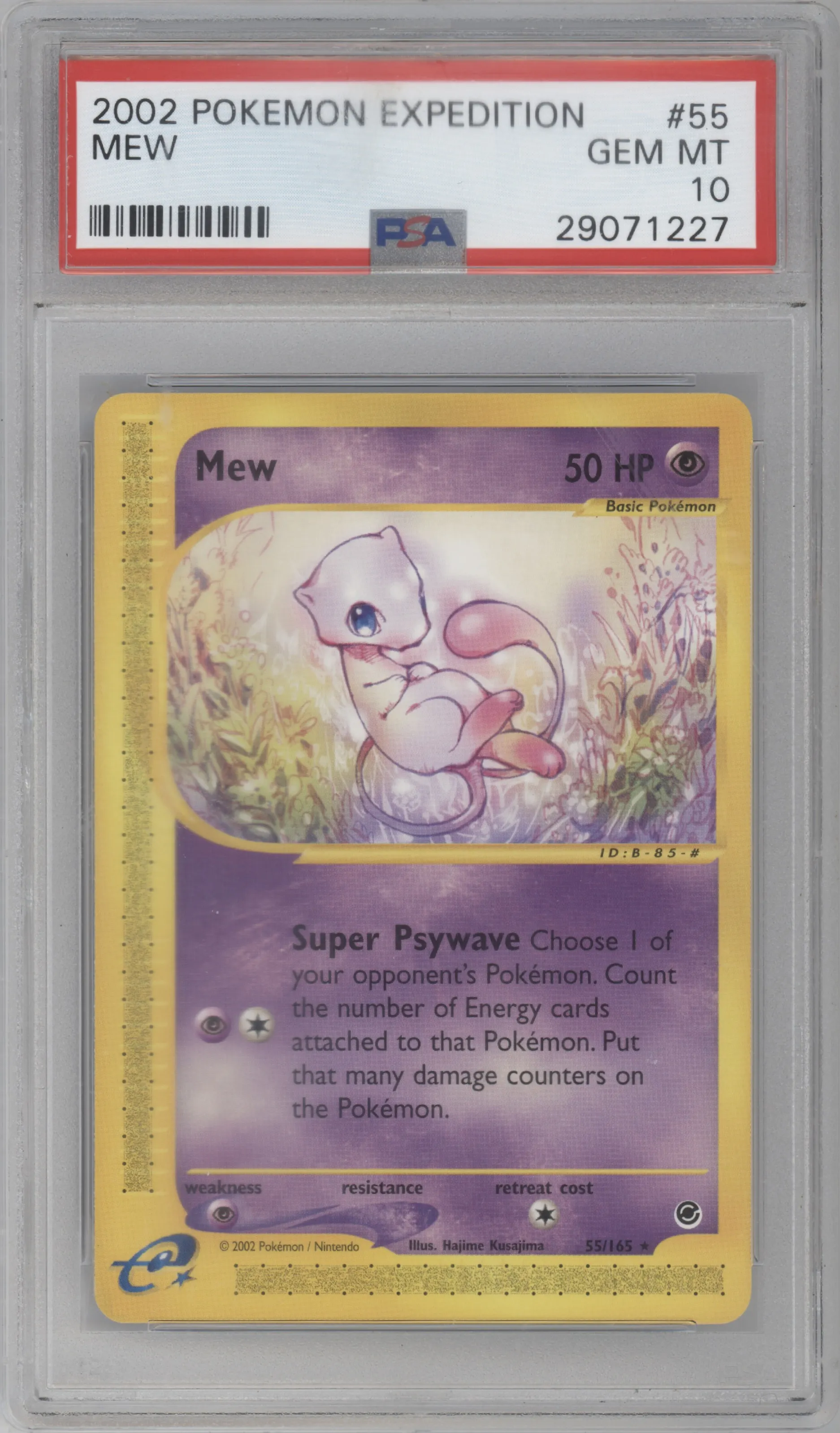 Mew | ARENA CLUB