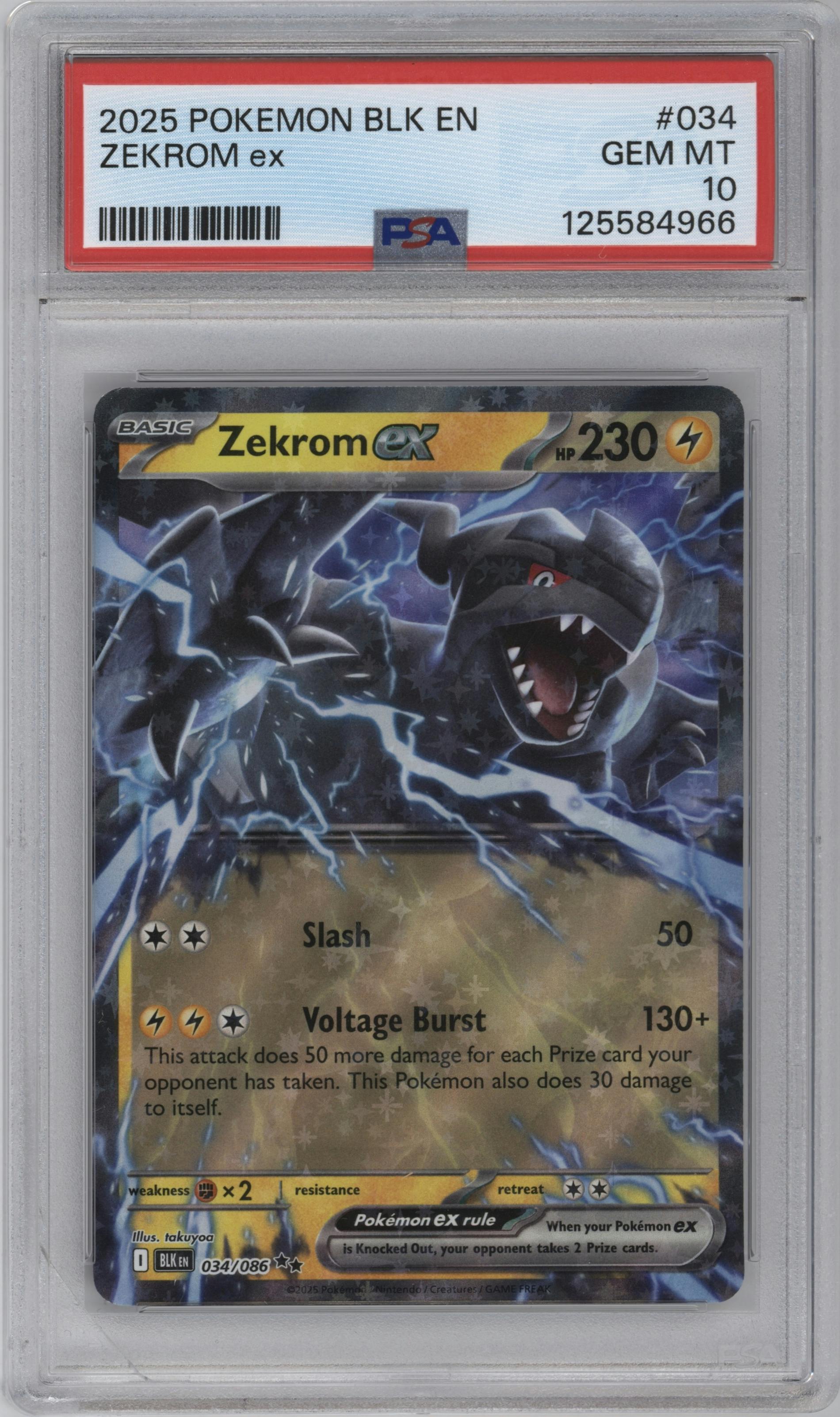 Zekrom ex