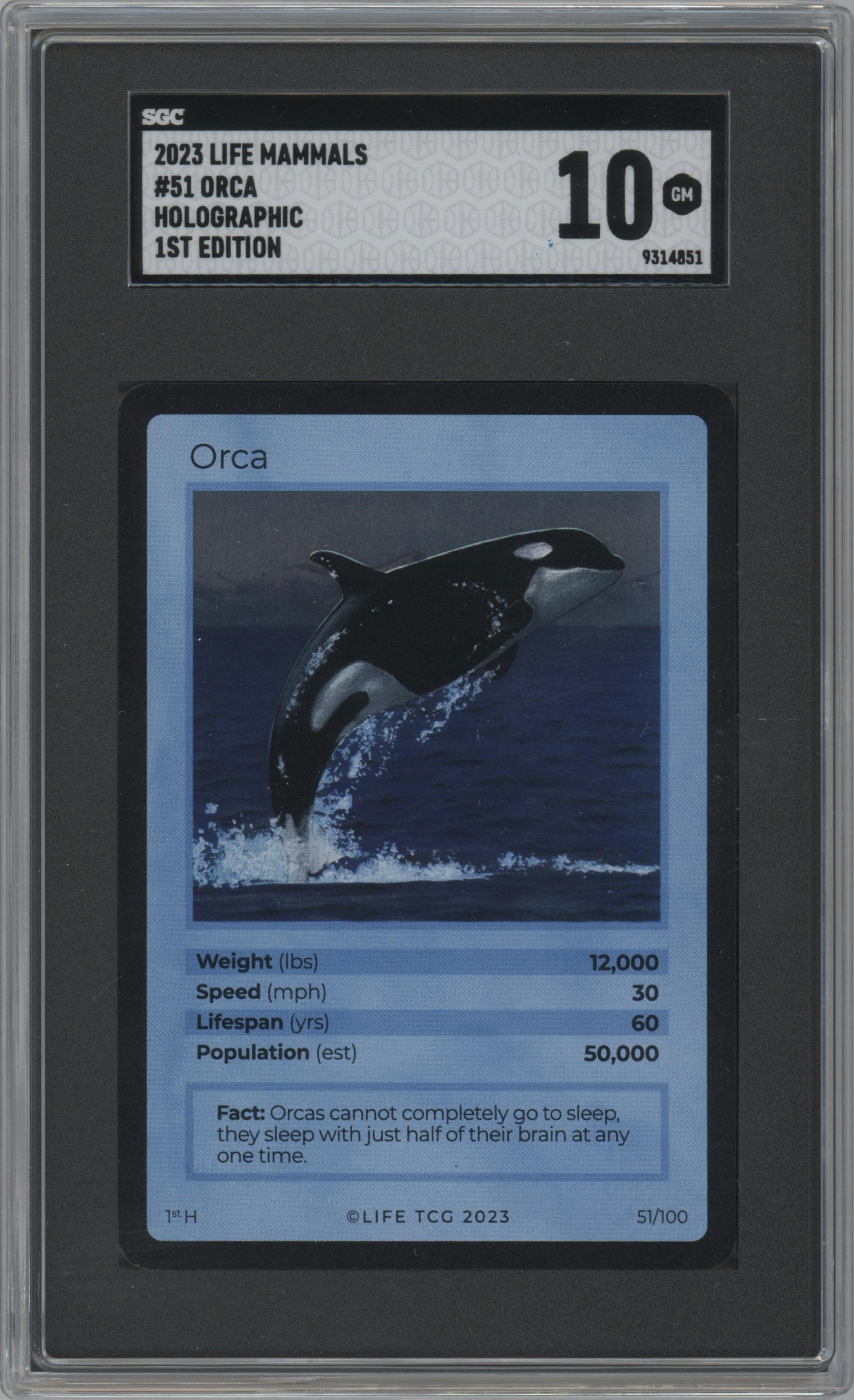 Orca from the 2023 Life set graded by SGC and given an overall grade of 10.