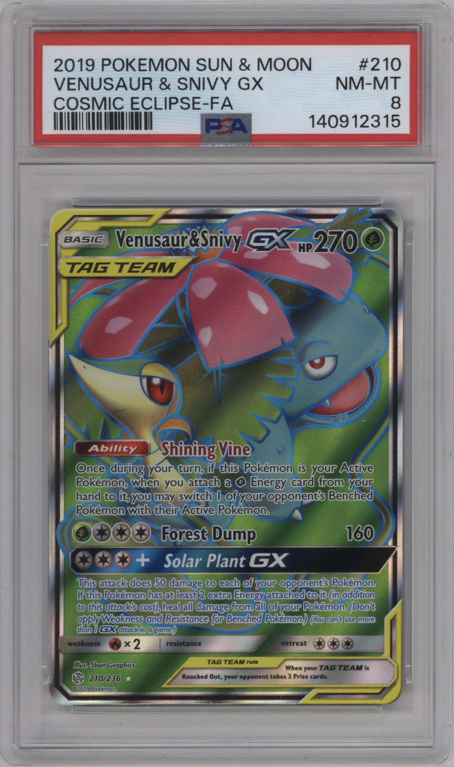 Venusaur & Snivy GX