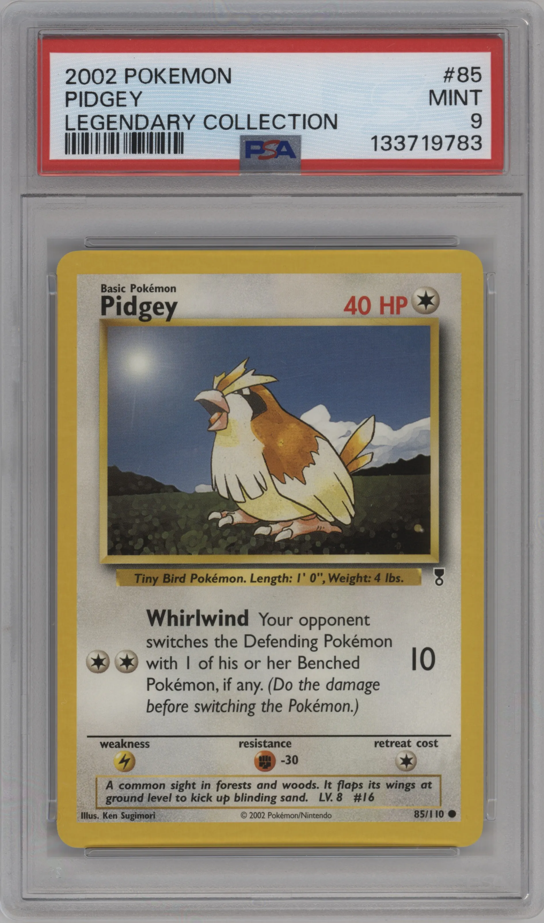 Pidgey