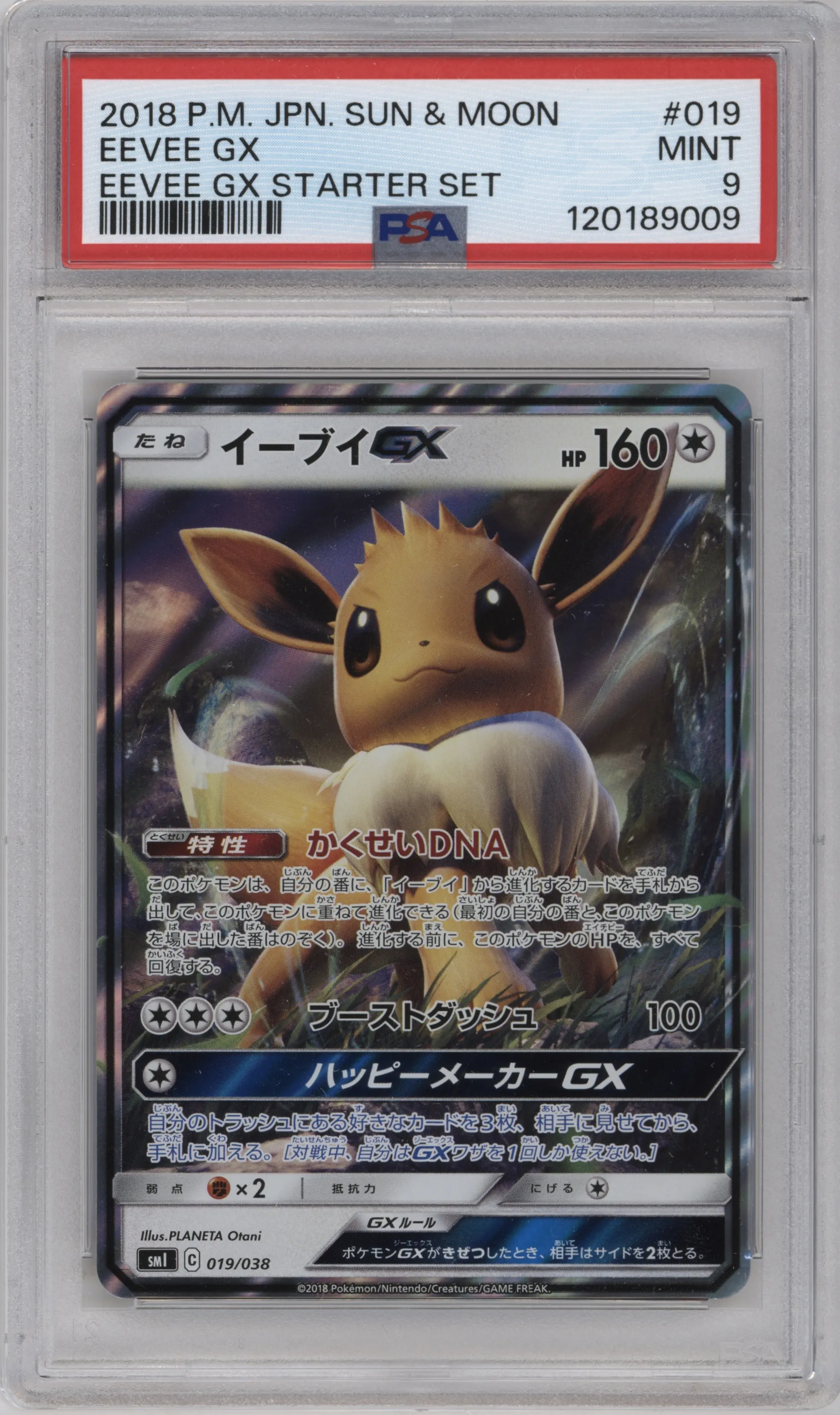 2018 Pokemon S&M JPN Eevee GX Starter Set Eevee GX #019 PSA 9