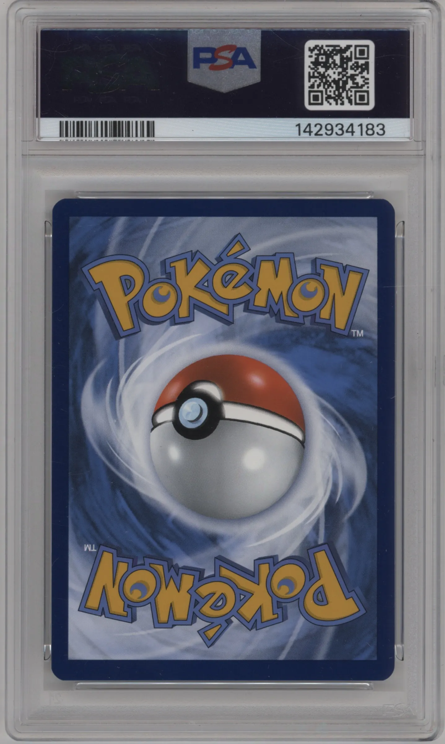 Pikachu with Grey Felt Hat