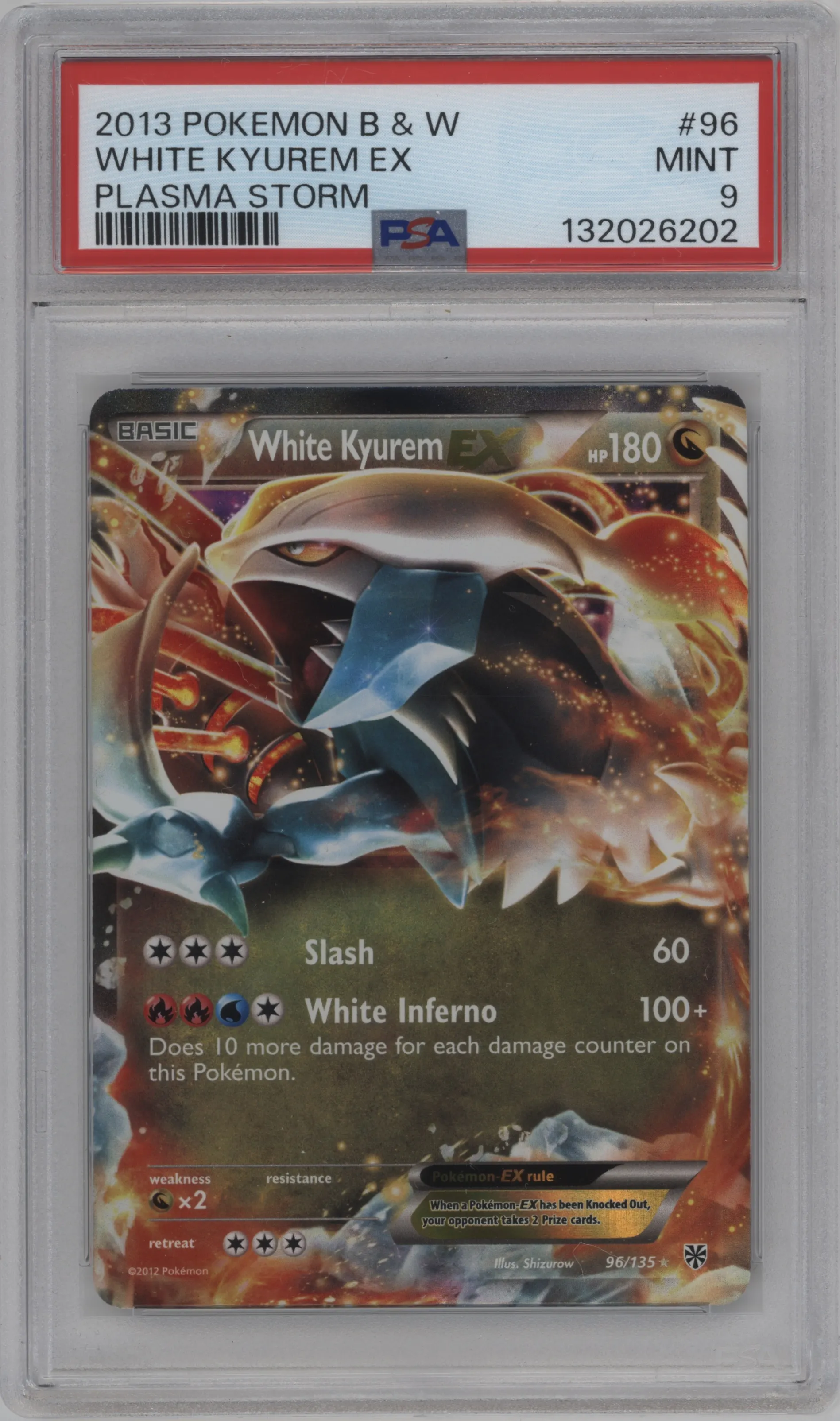White Kyurem EX
