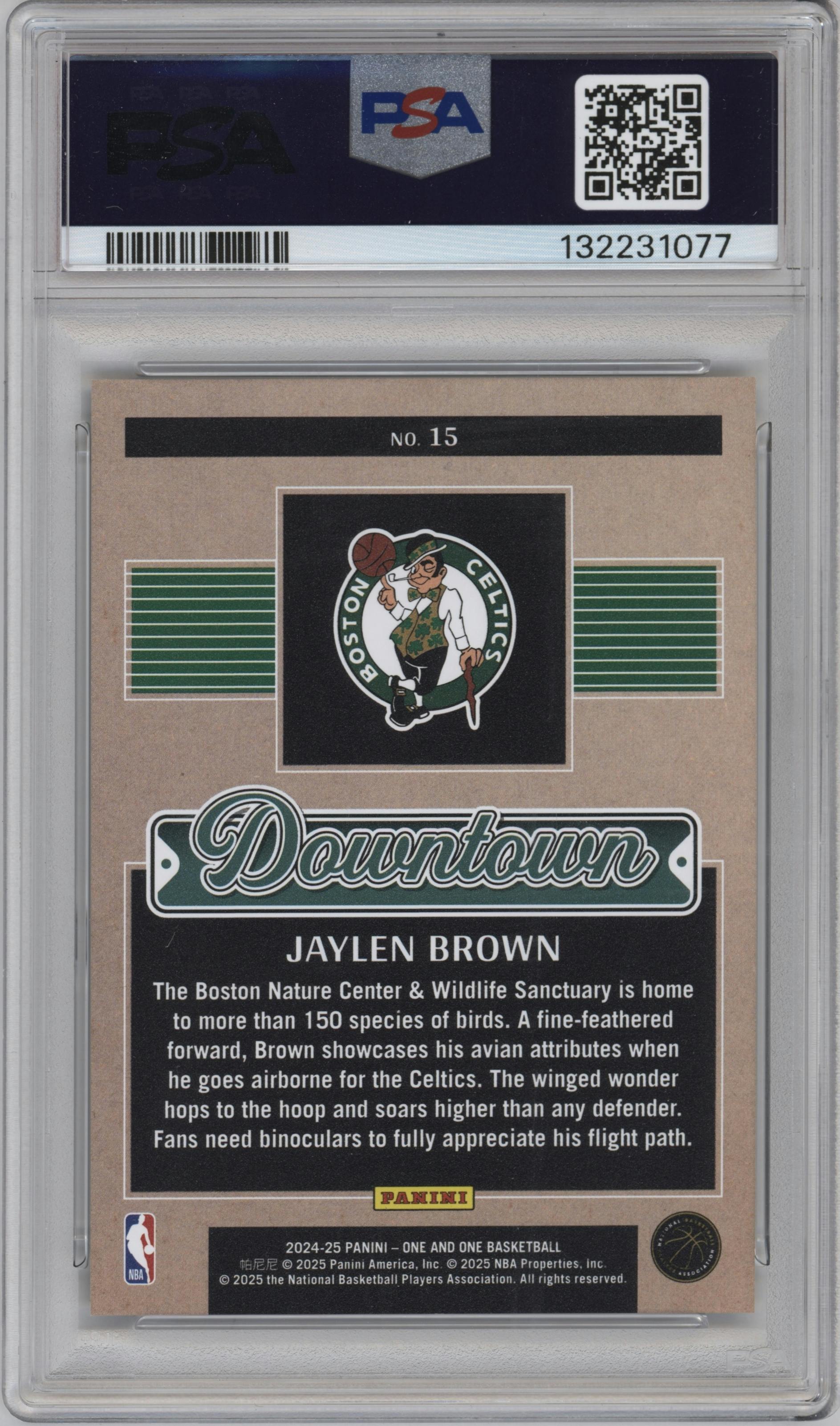 Jaylen Brown 