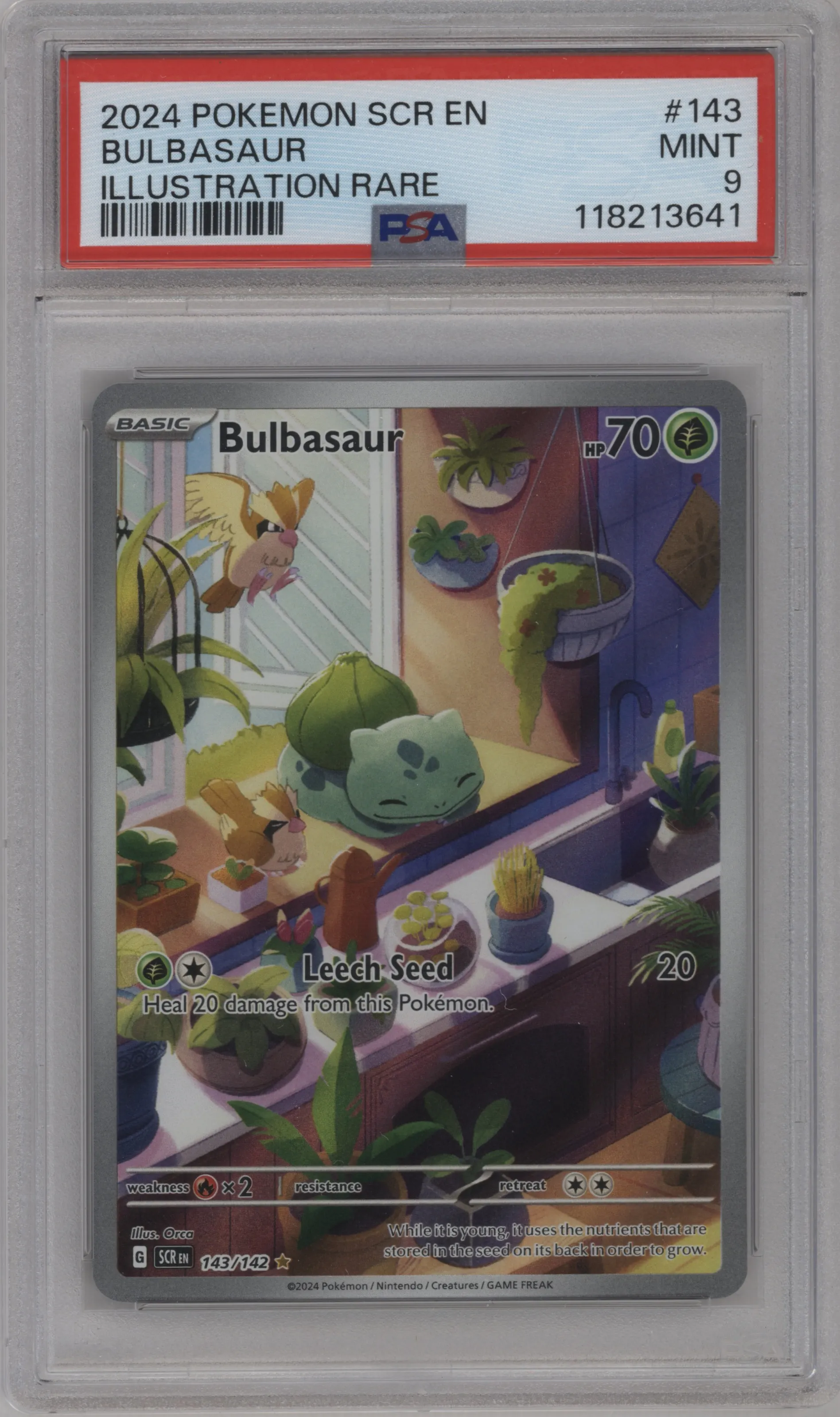 Bulbasaur