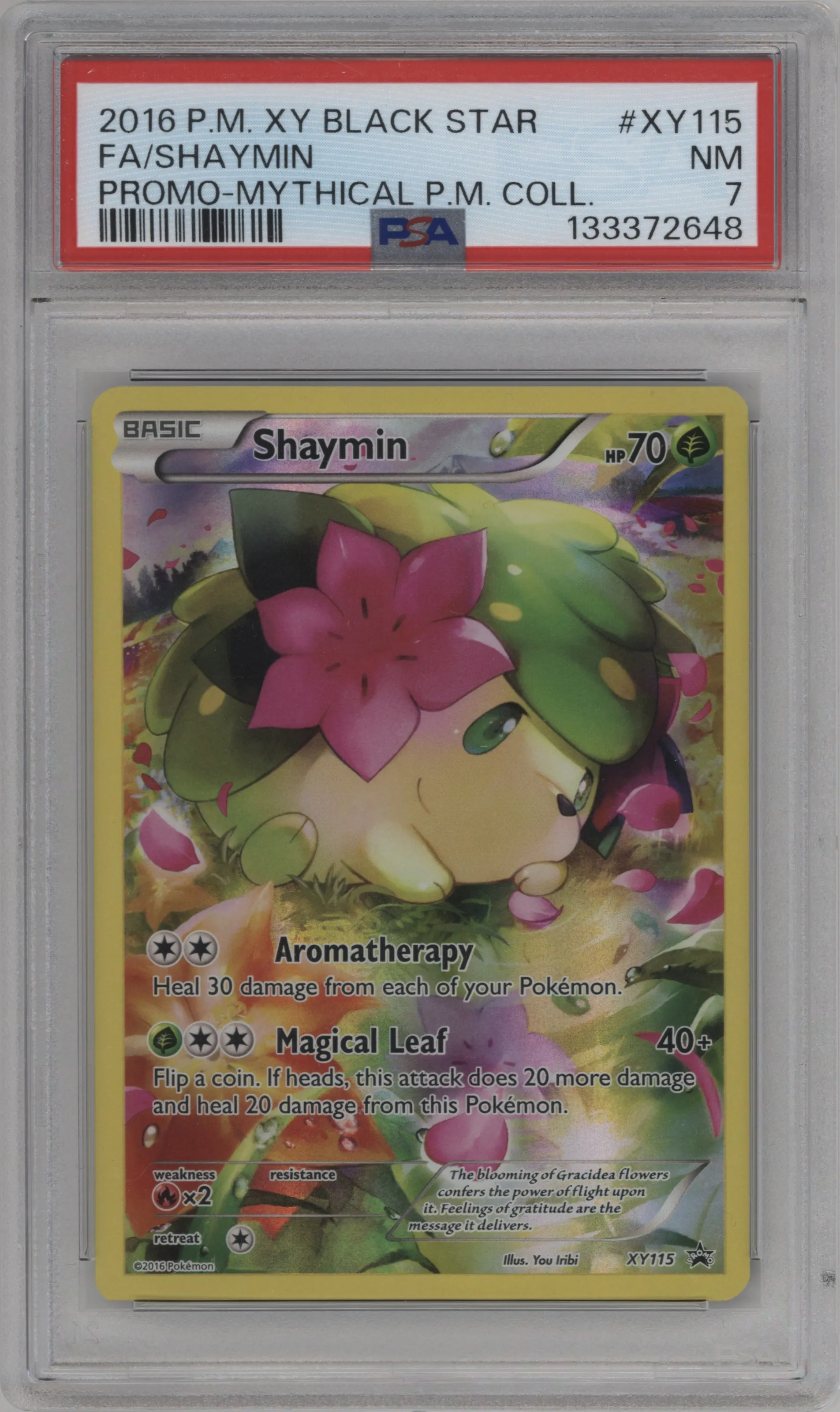 Shaymin