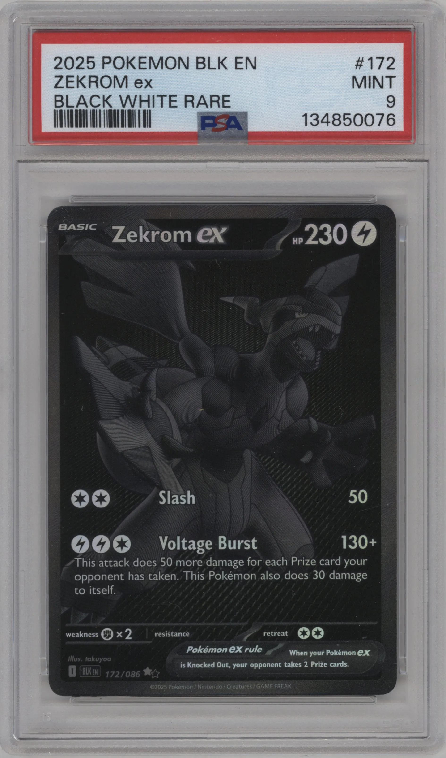 Zekrom ex