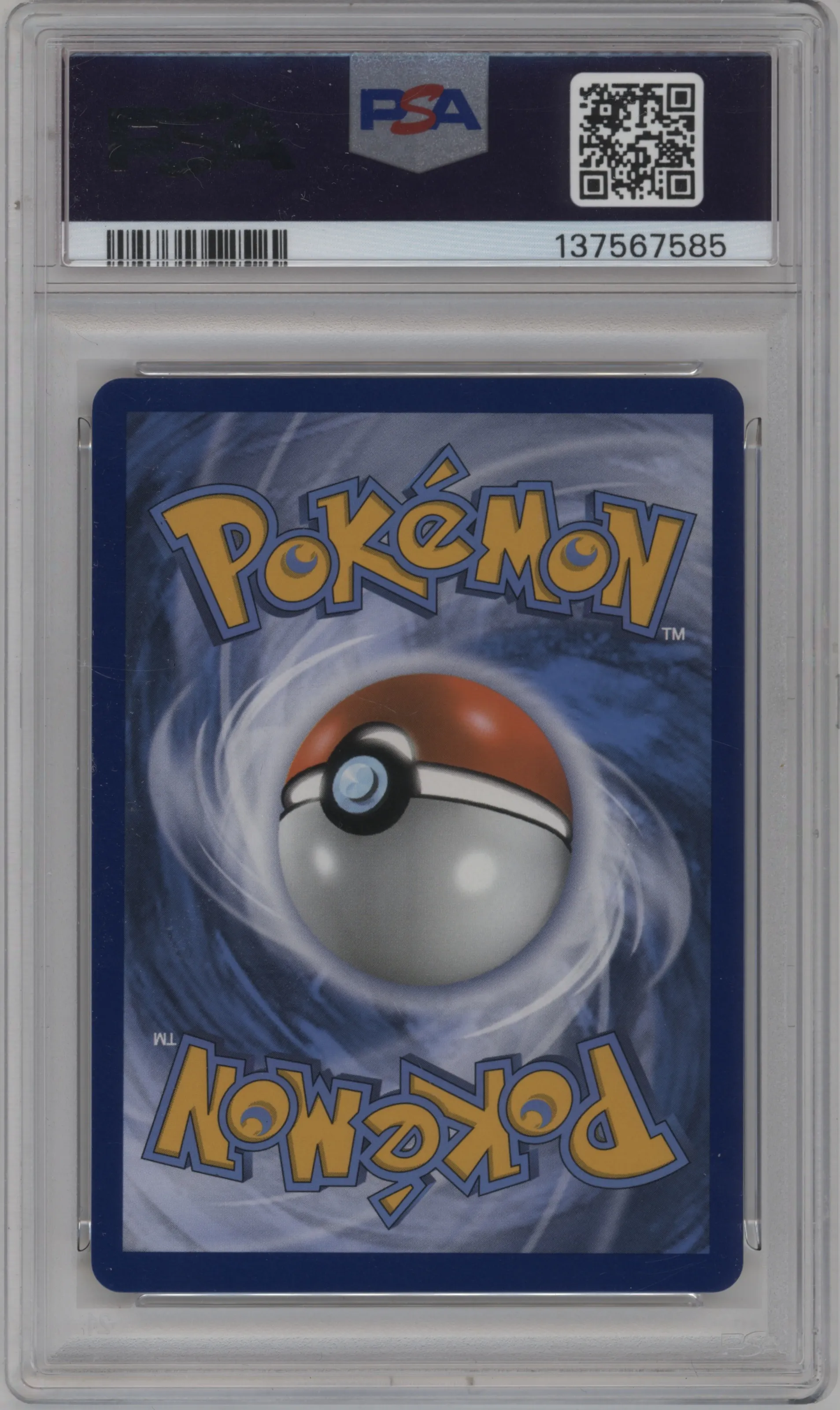 Misty's Determination