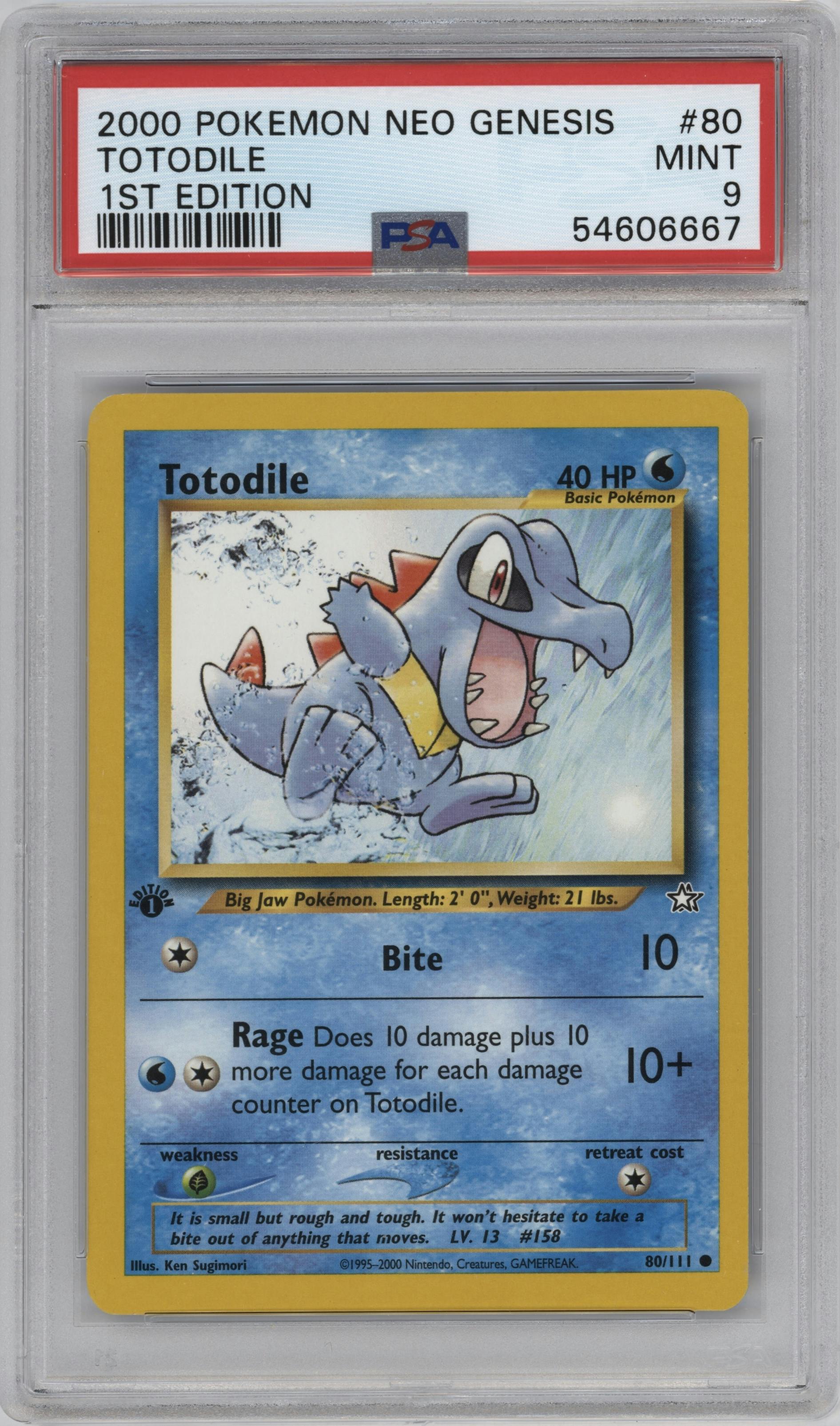 Totodile