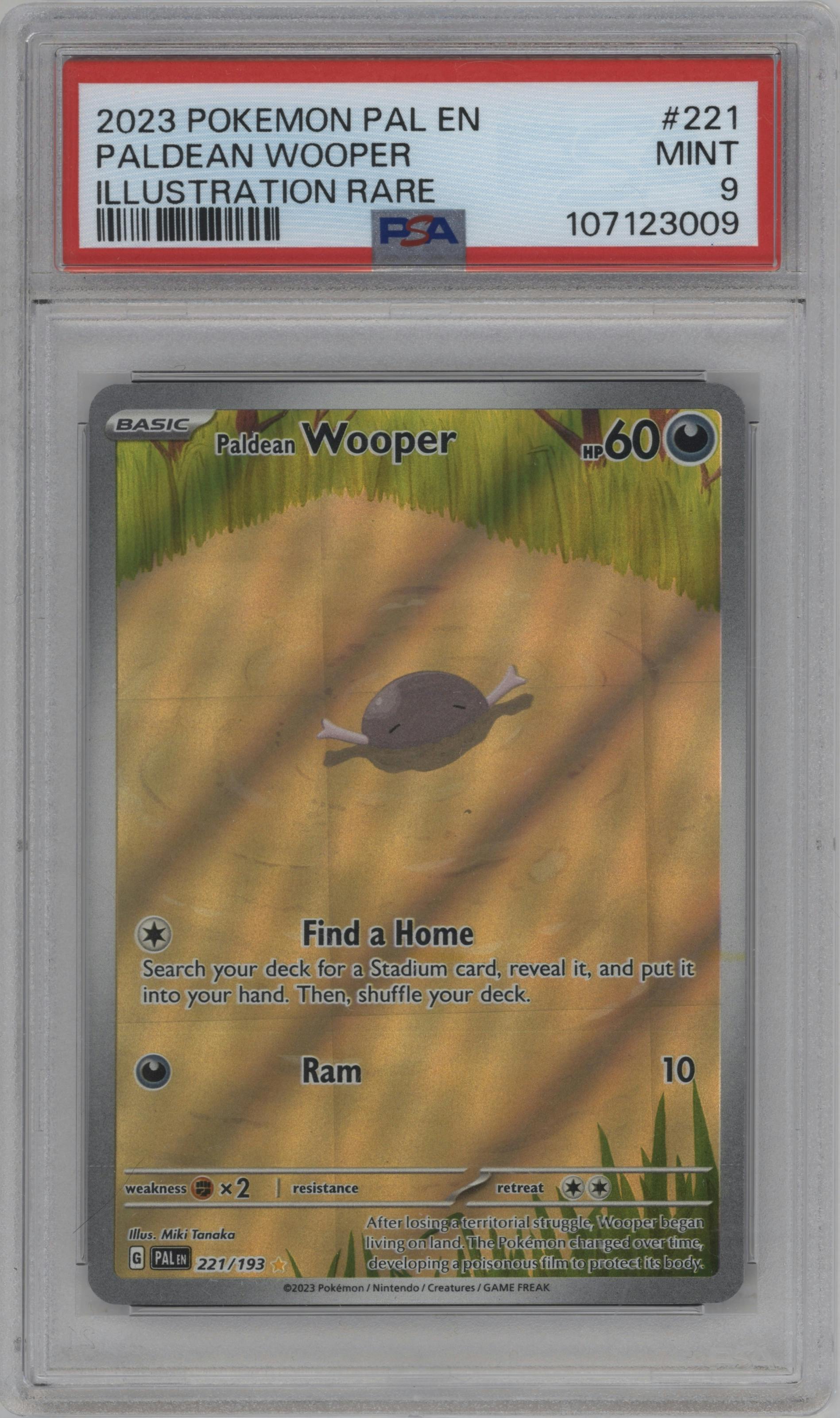 Paldean Wooper