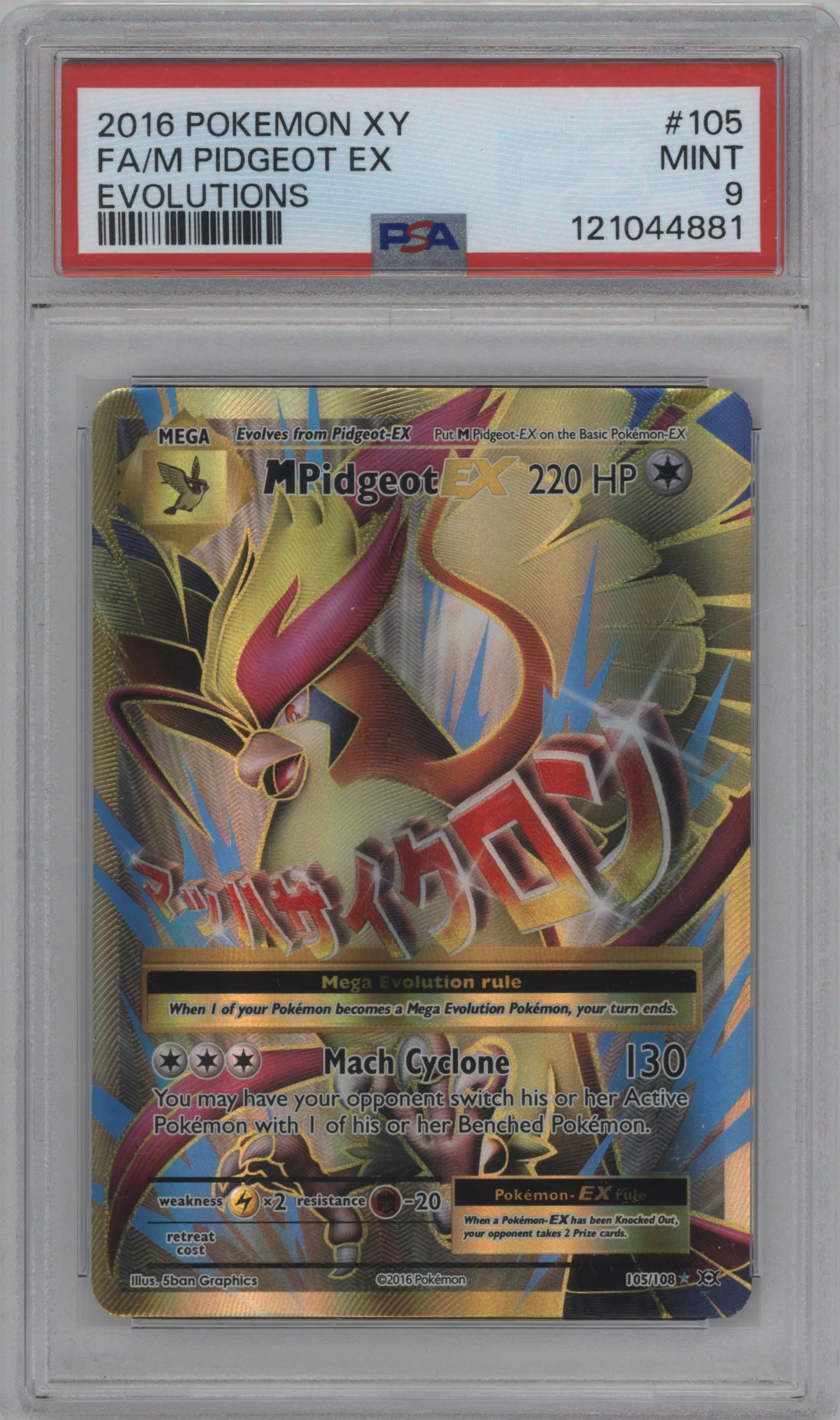 M Pidgeot EX